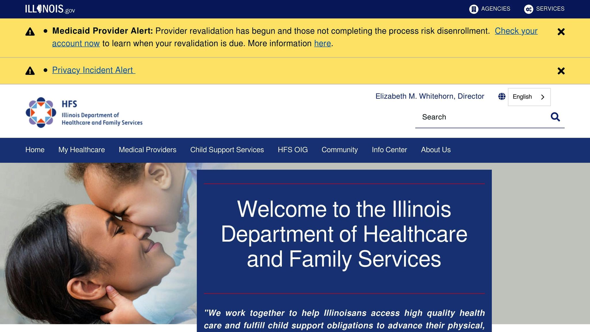 Illinois Medicaid