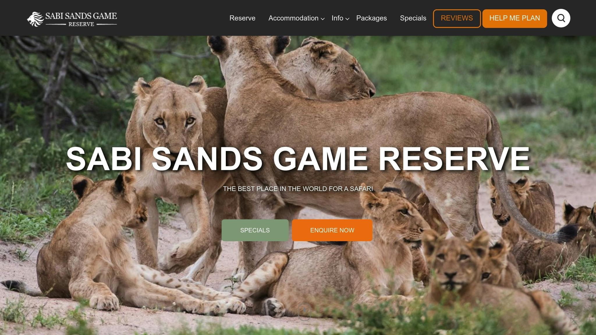 Sabi Sand Game Reserve