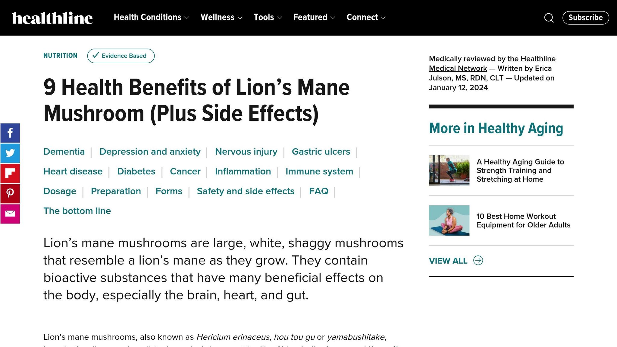 Lion's Mane Mushroom