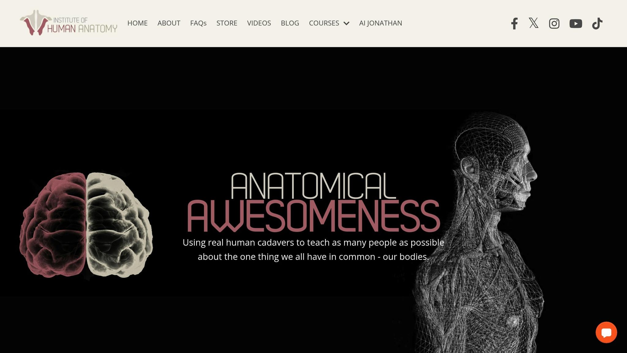 Institute of Human Anatomy