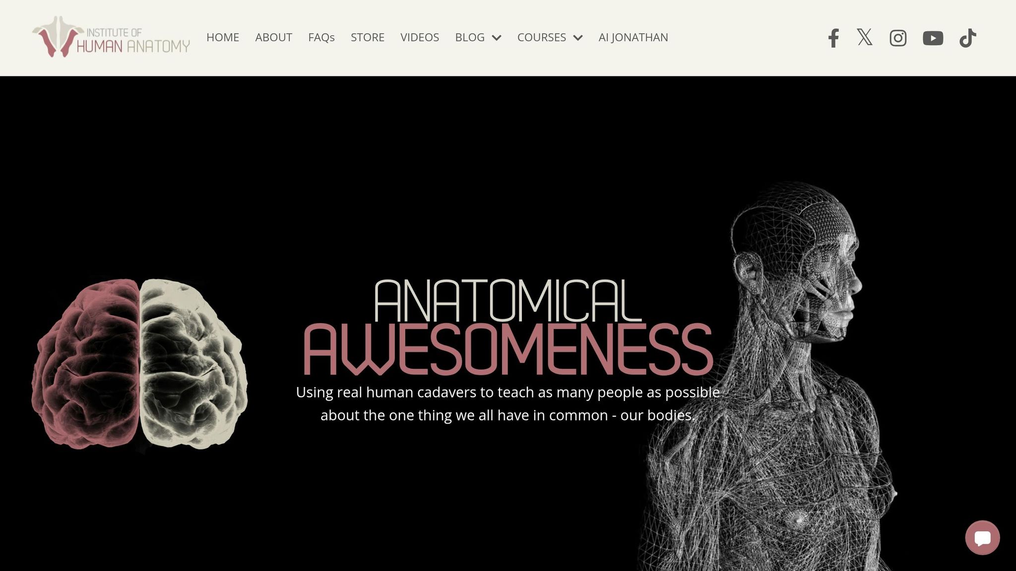 Institute of Human Anatomy