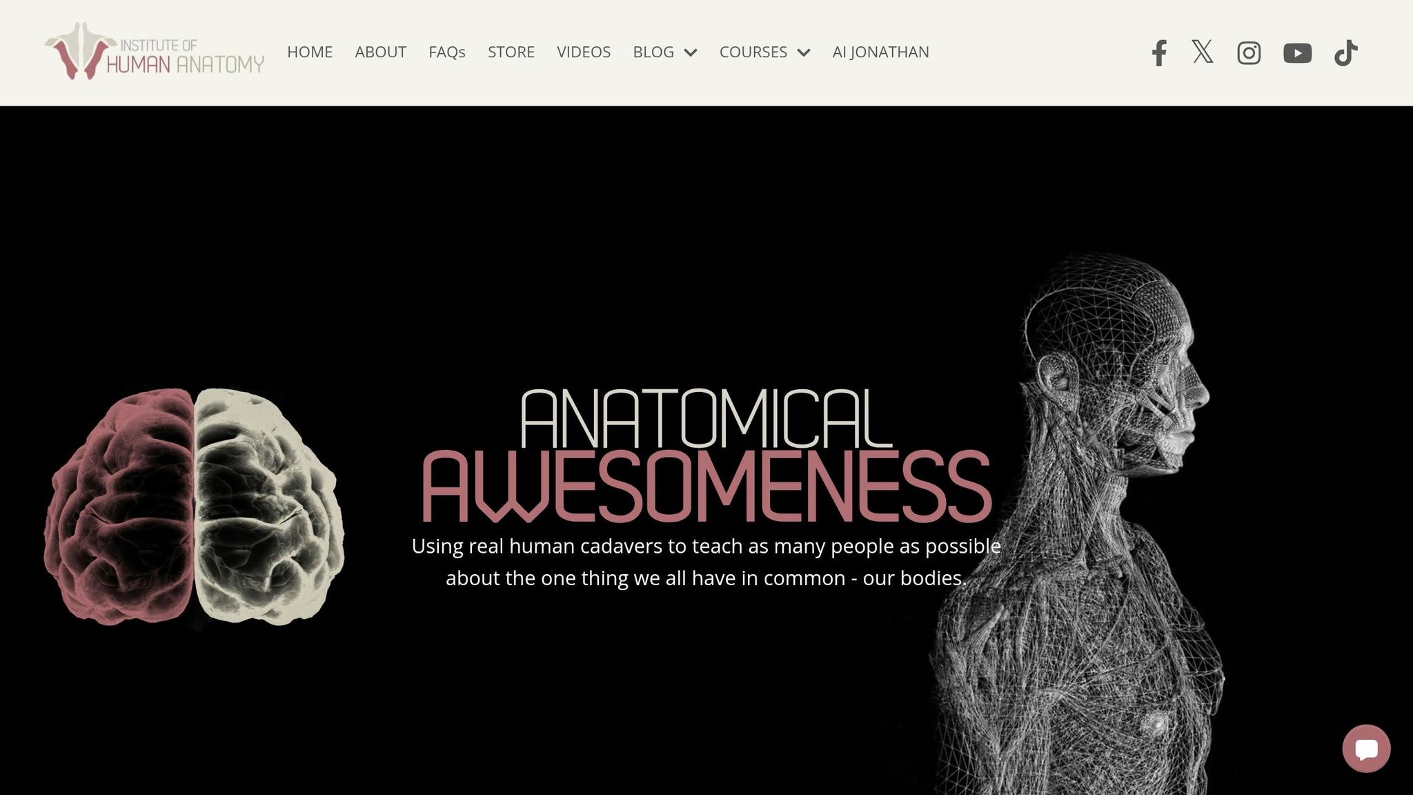 Institute of Human Anatomy