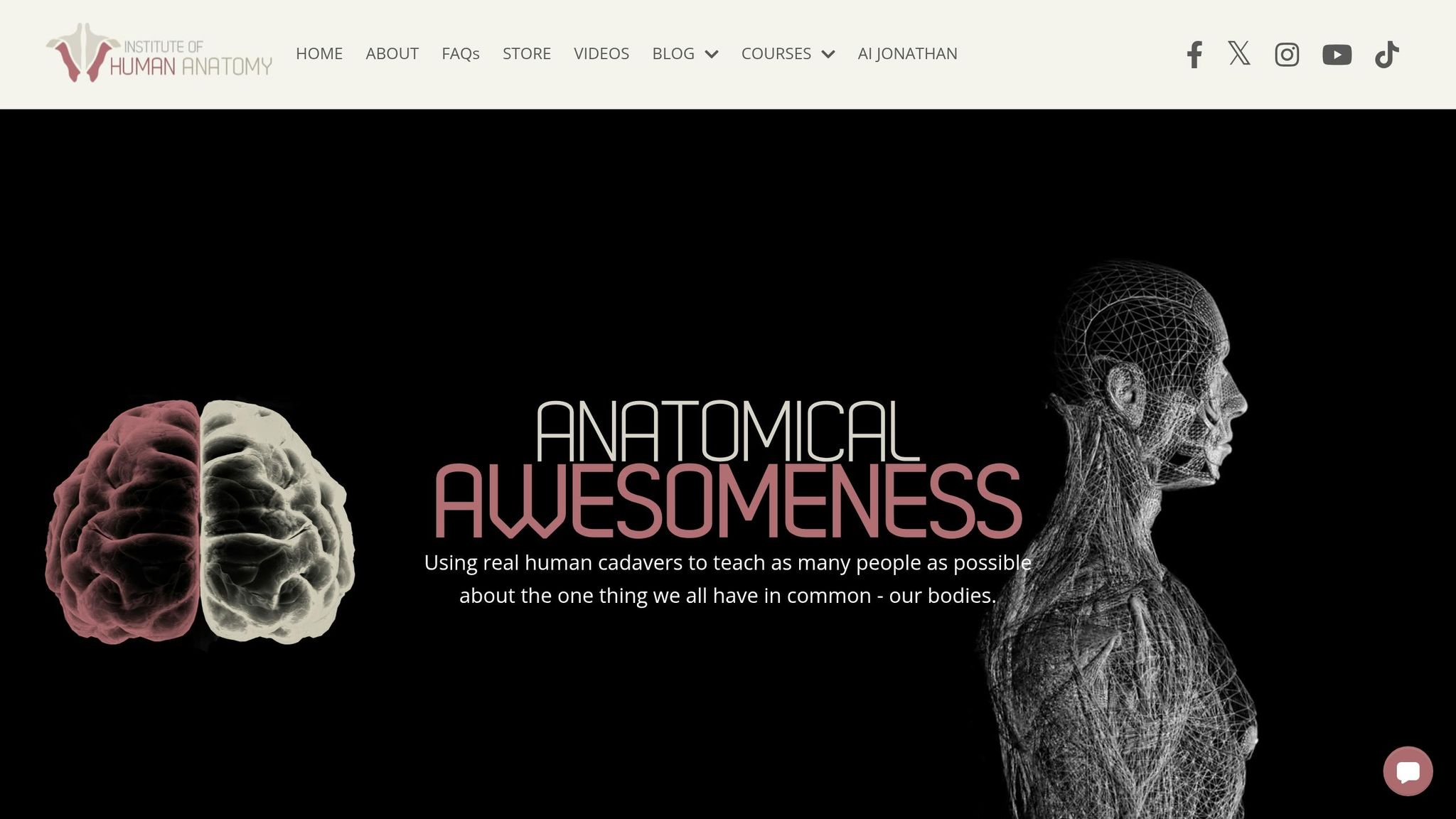 Institute of Human Anatomy