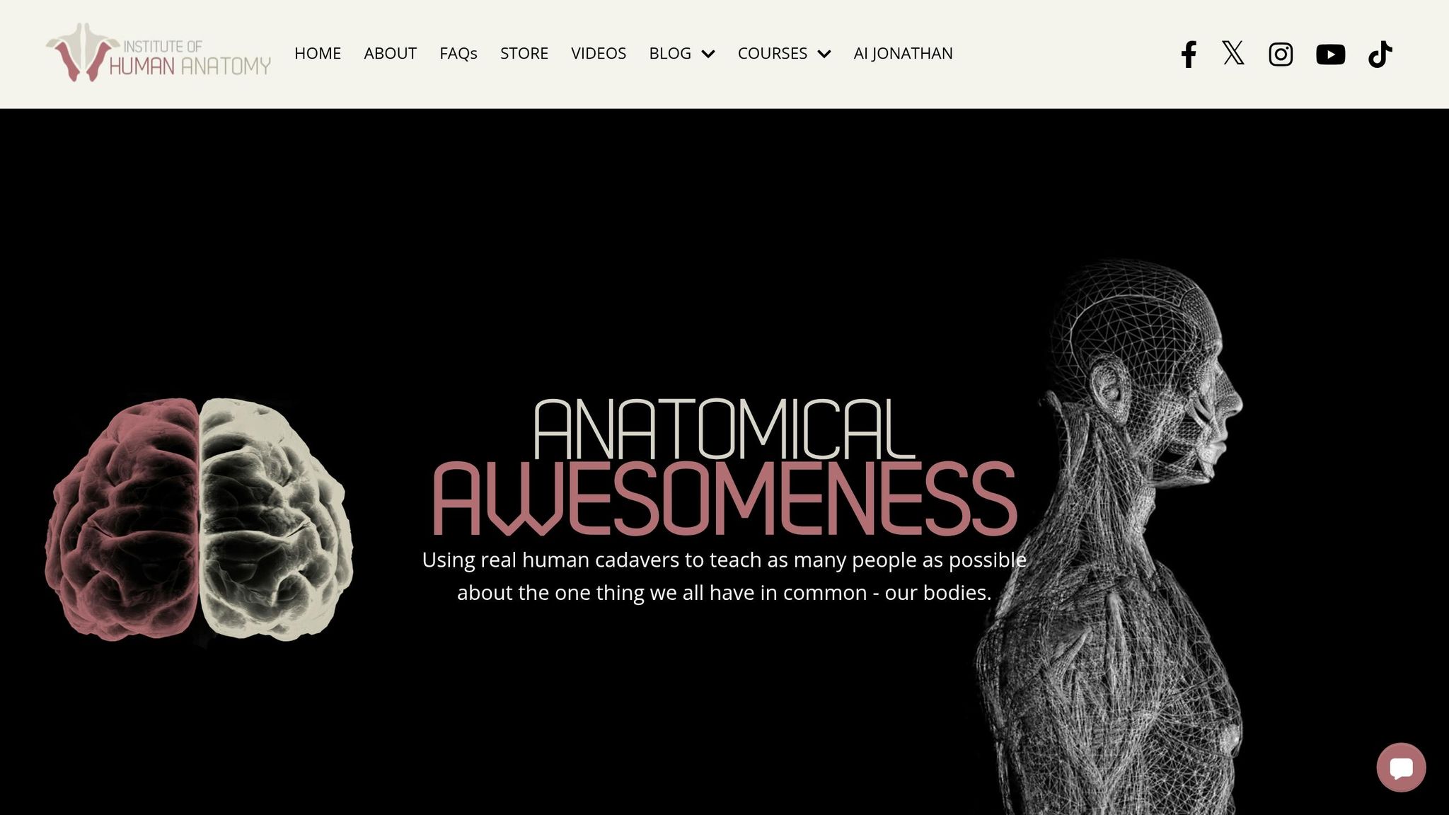 Institute of Human Anatomy