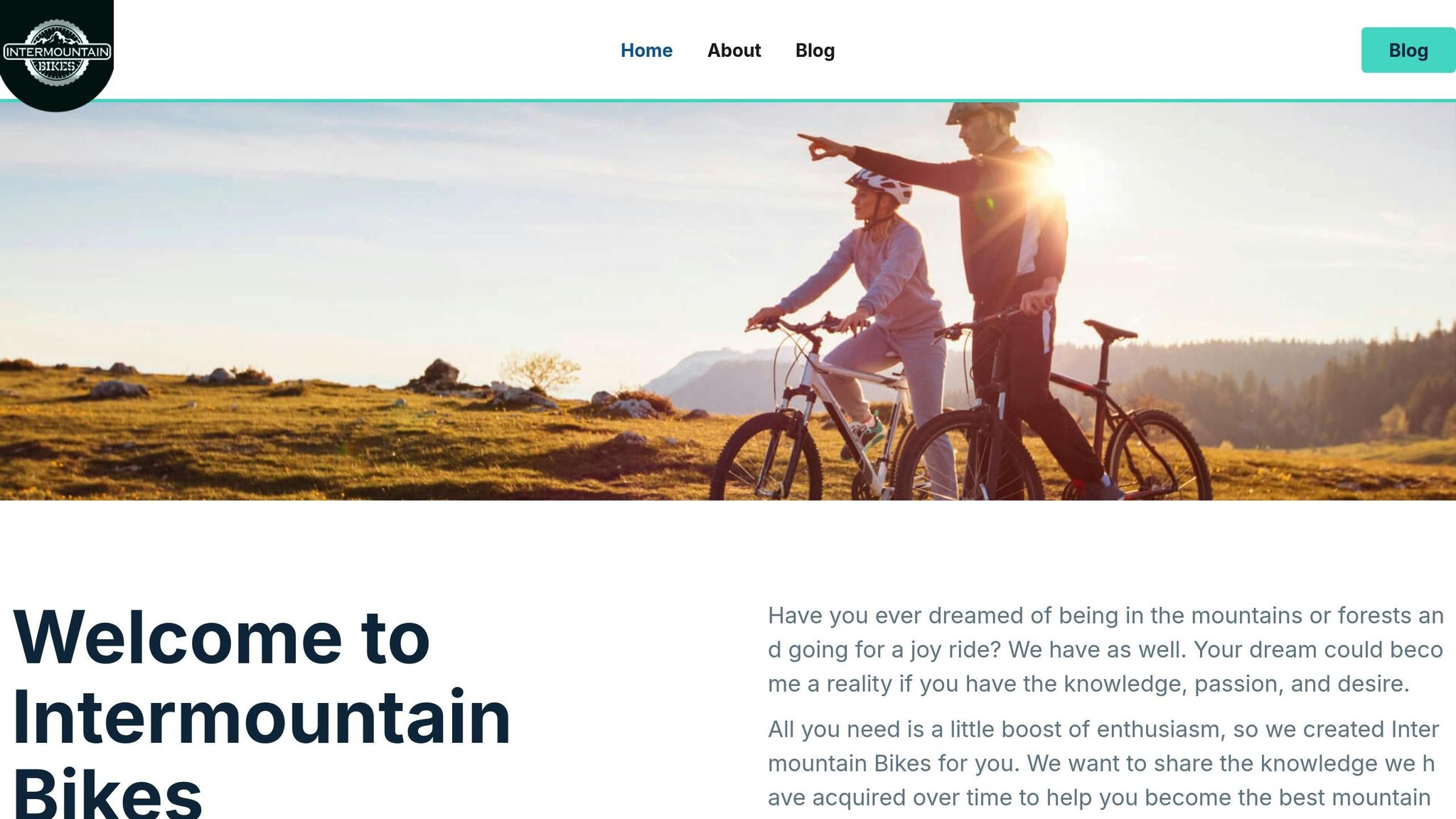 Intermountain Bikes