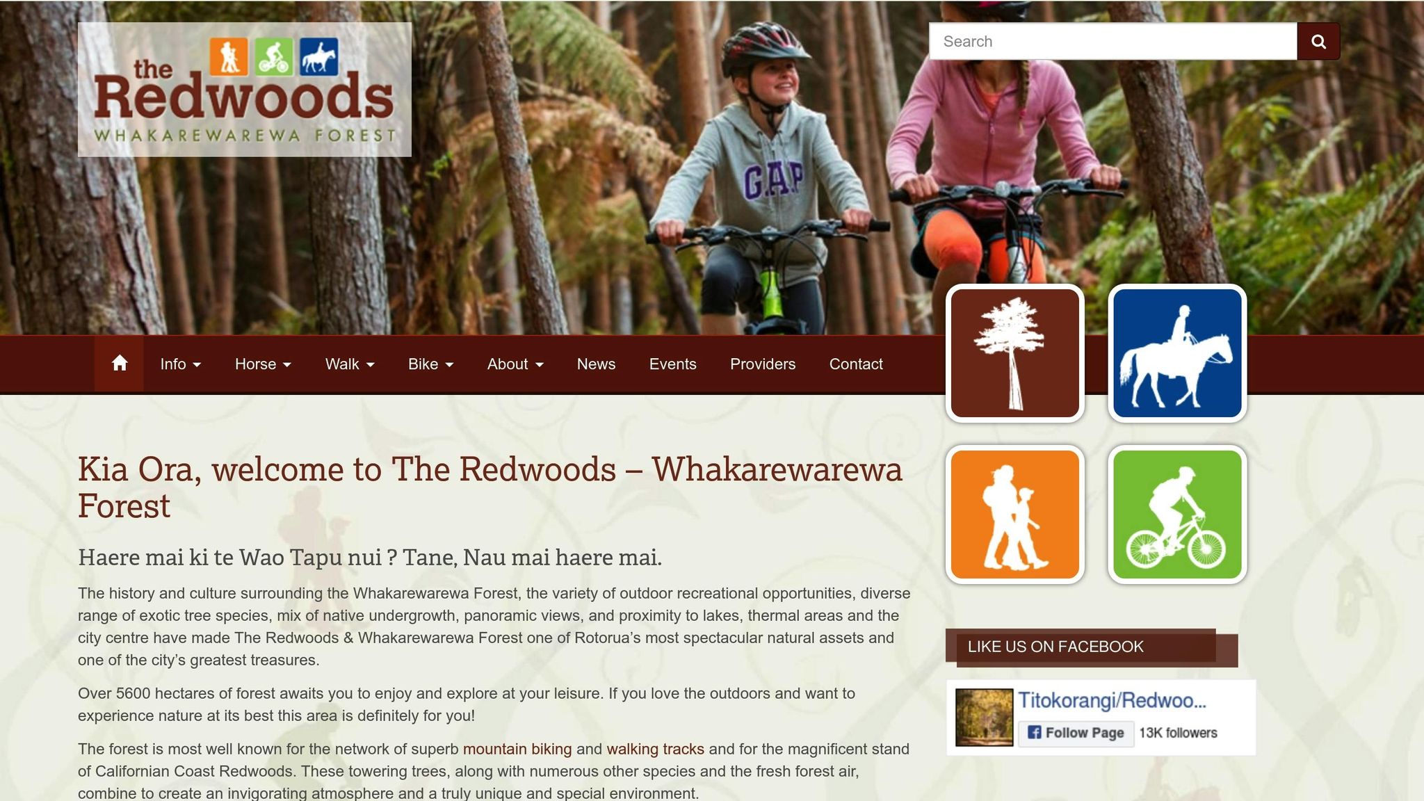 Whakarewarewa Forest