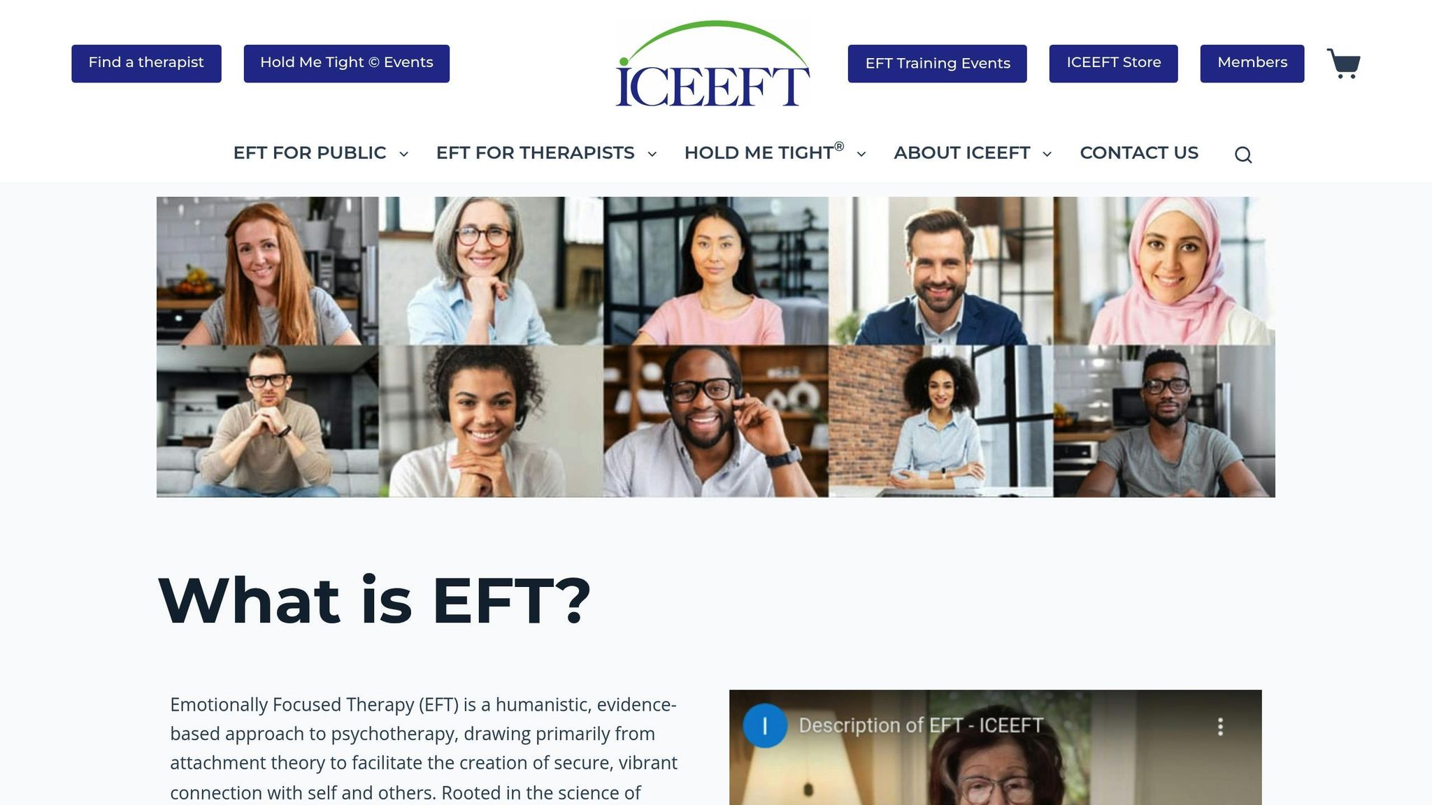 Emotionally Focused Couple Therapy