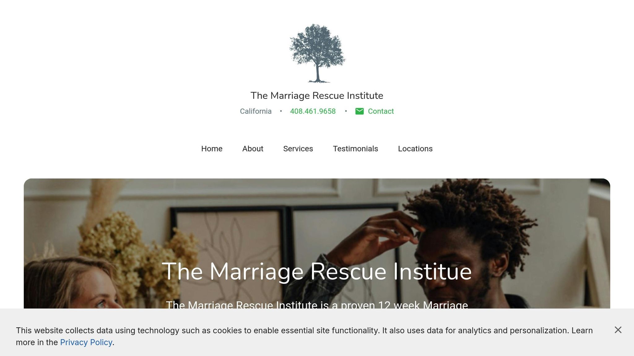 The Marriage Rescue Institute