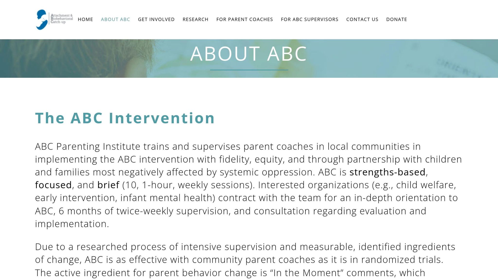 Attachment and Biobehavioral Catch-up