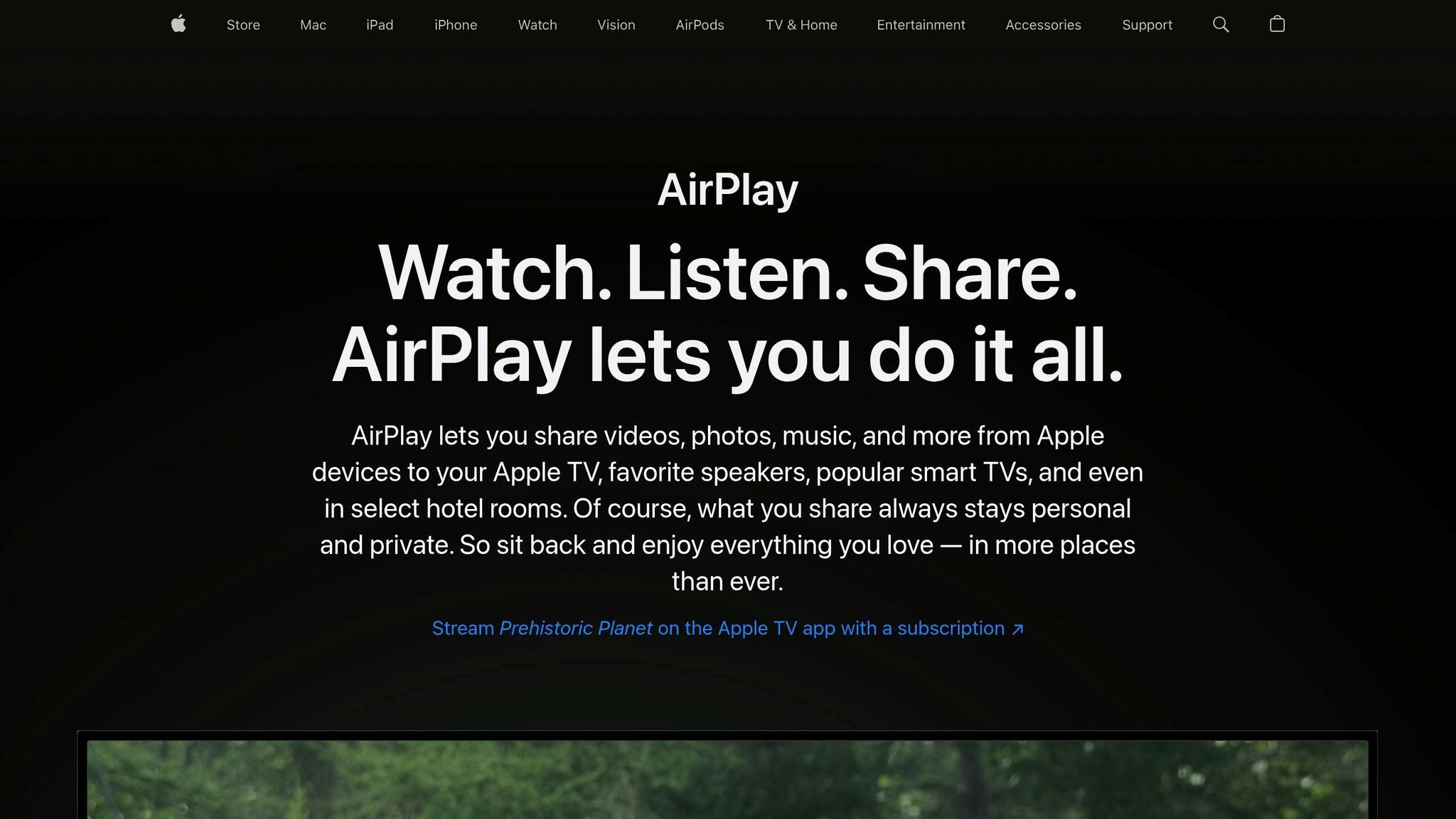 AirPlay