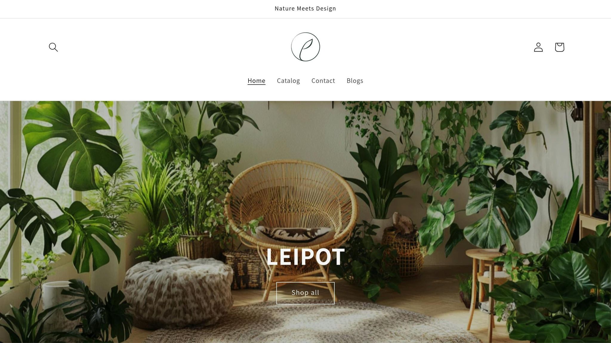 Leipot Calathea Plant