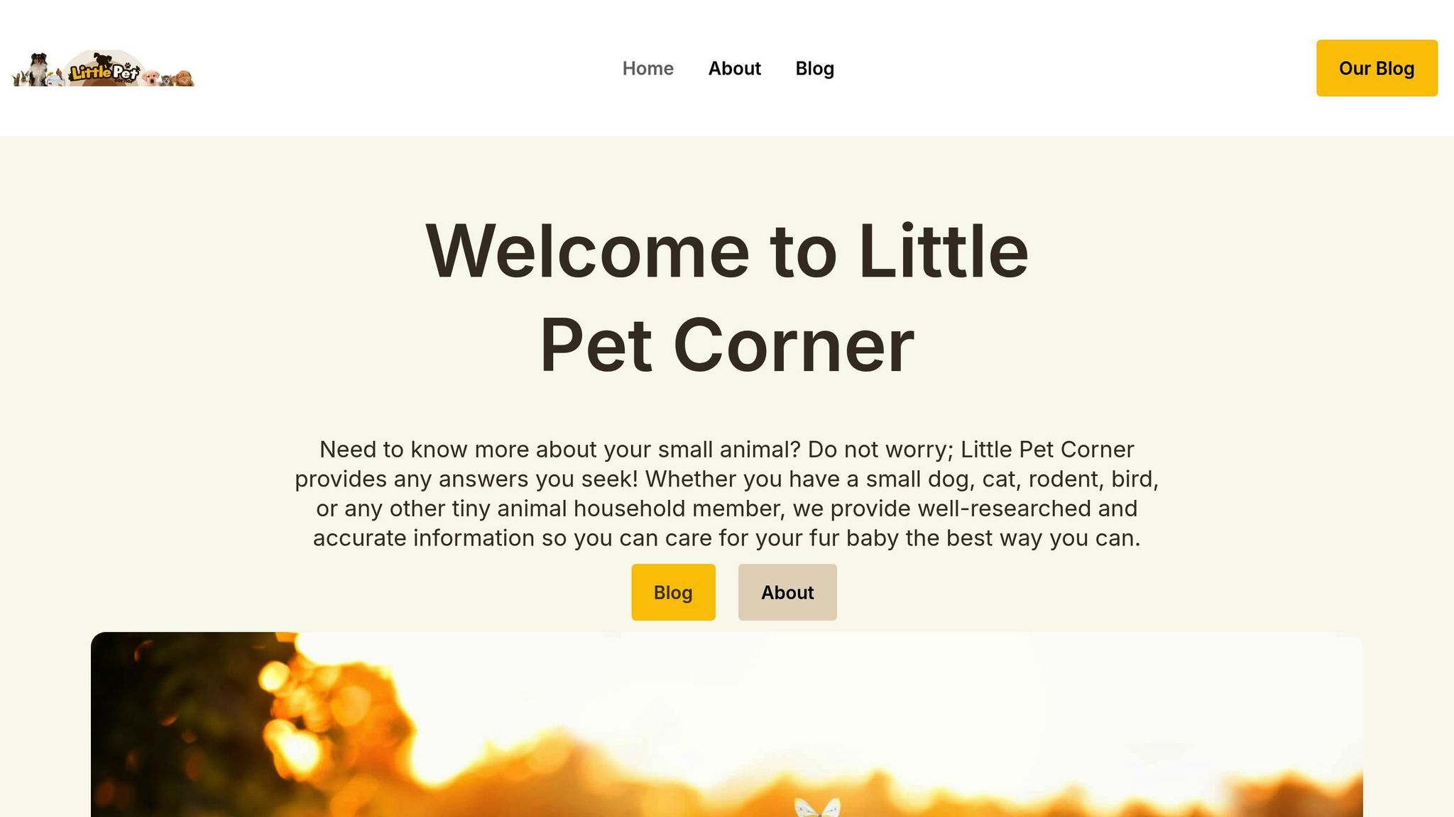 Little Pet Corner