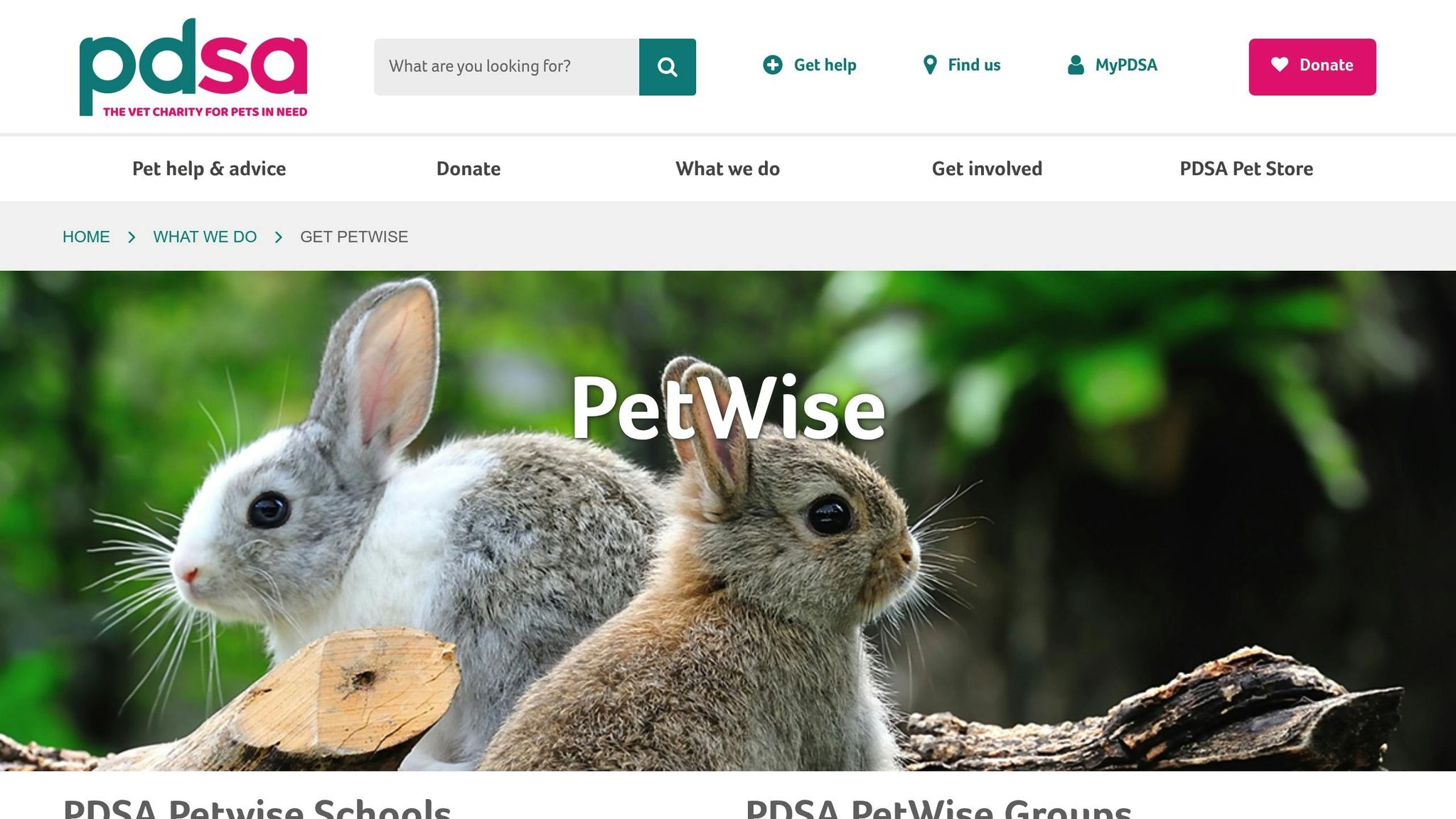 PDSA