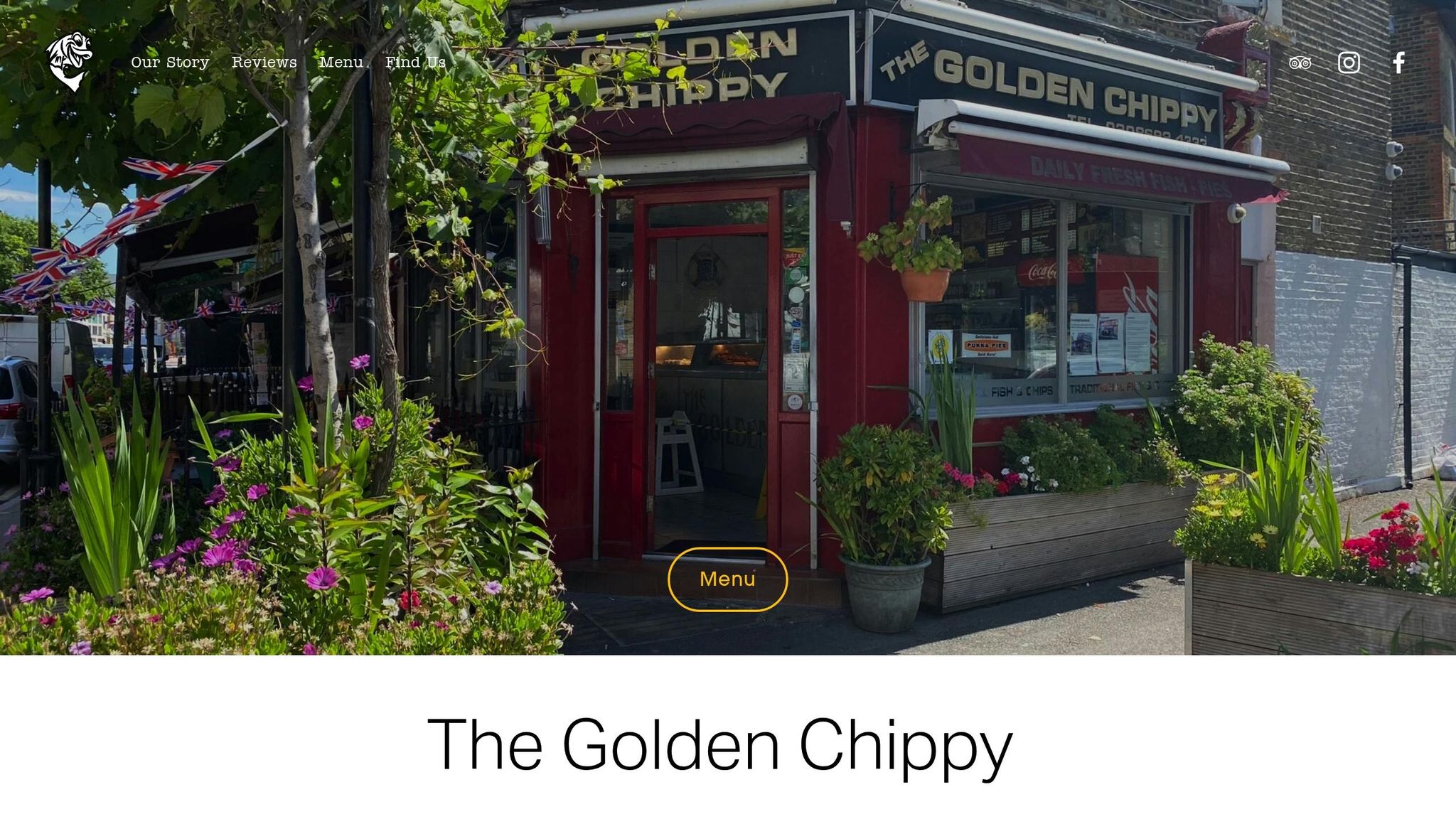 Golden Chippy