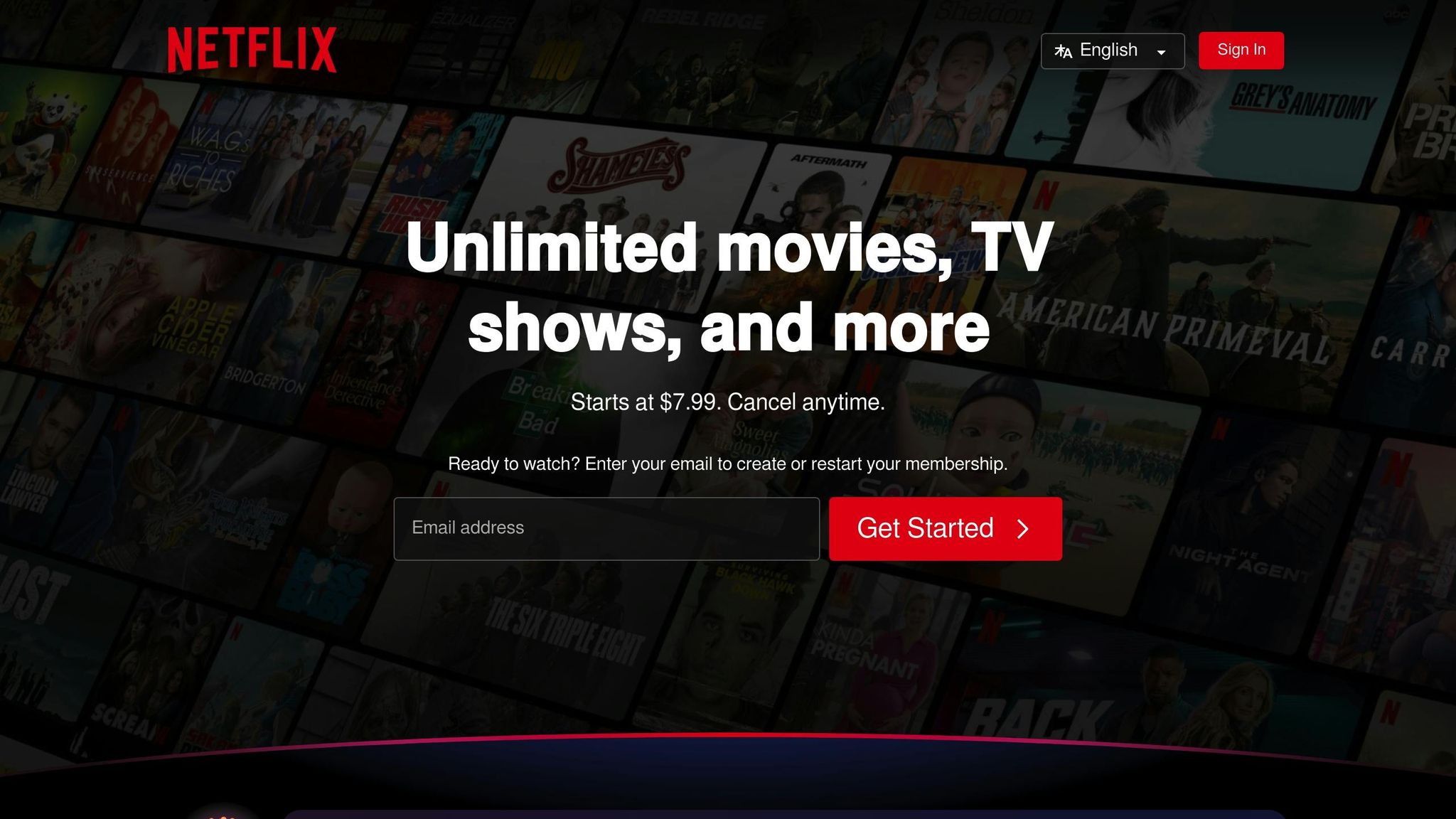 Netflix
