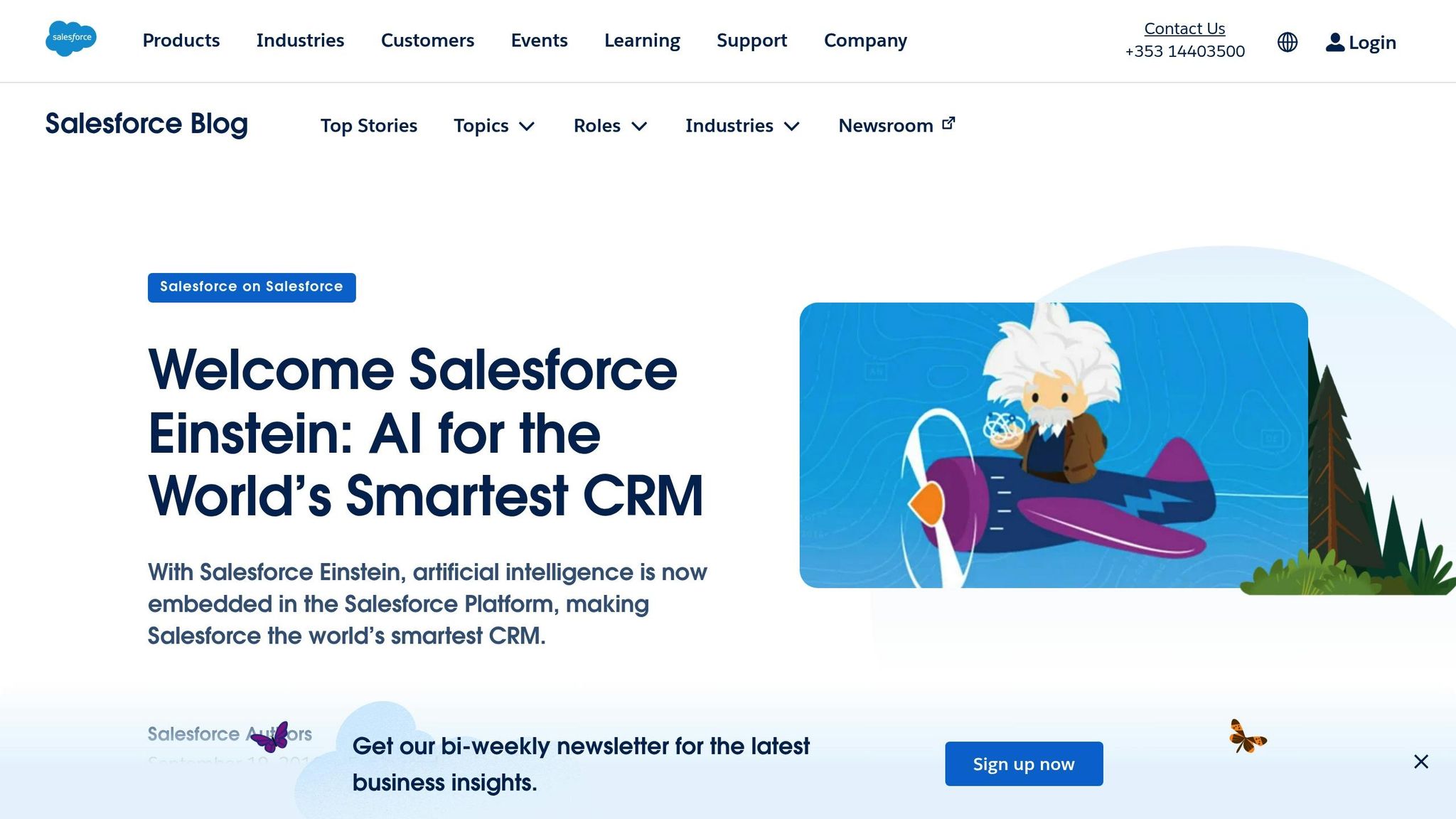 Salesforce Einstein