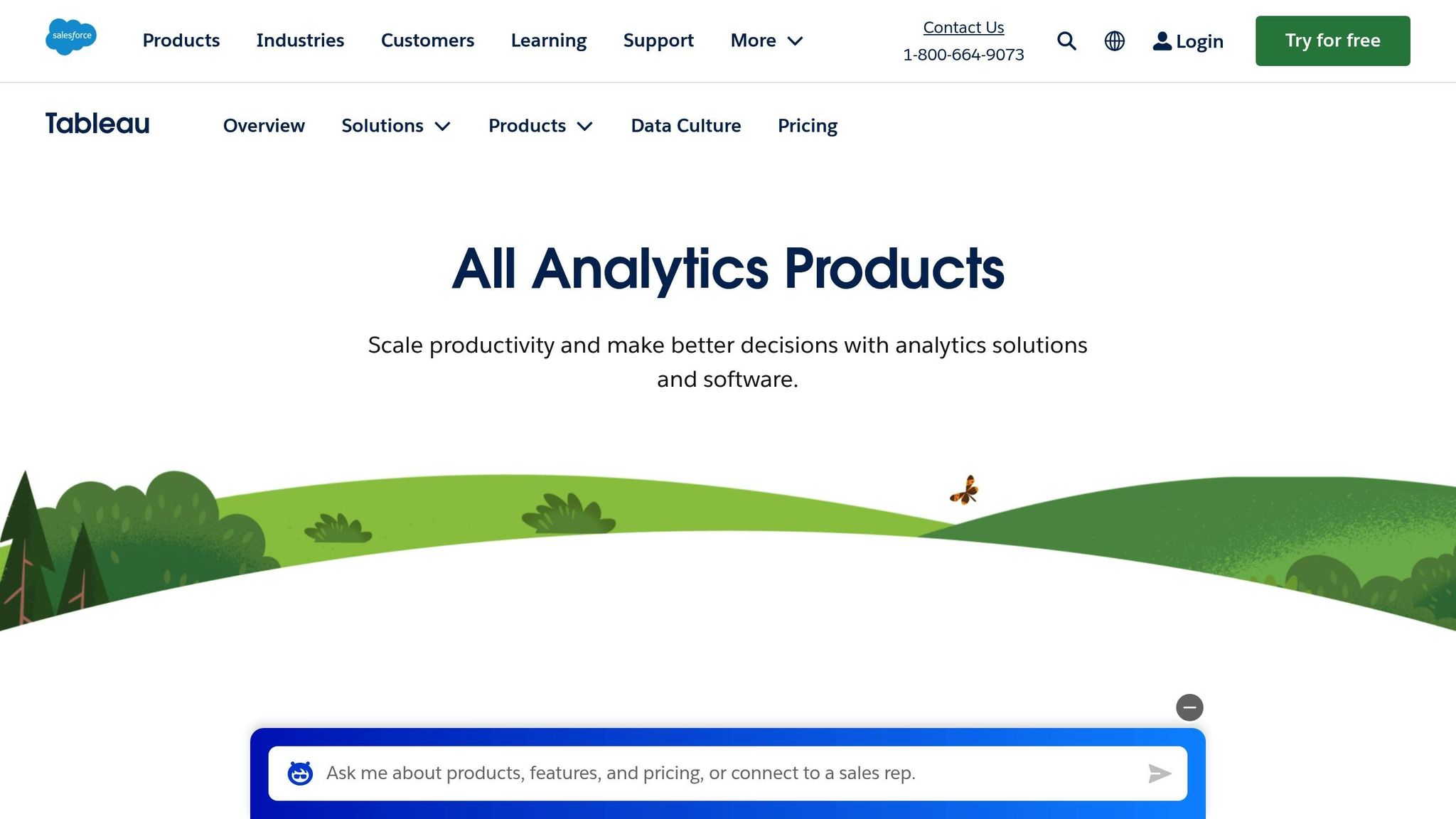 Salesforce Analytics