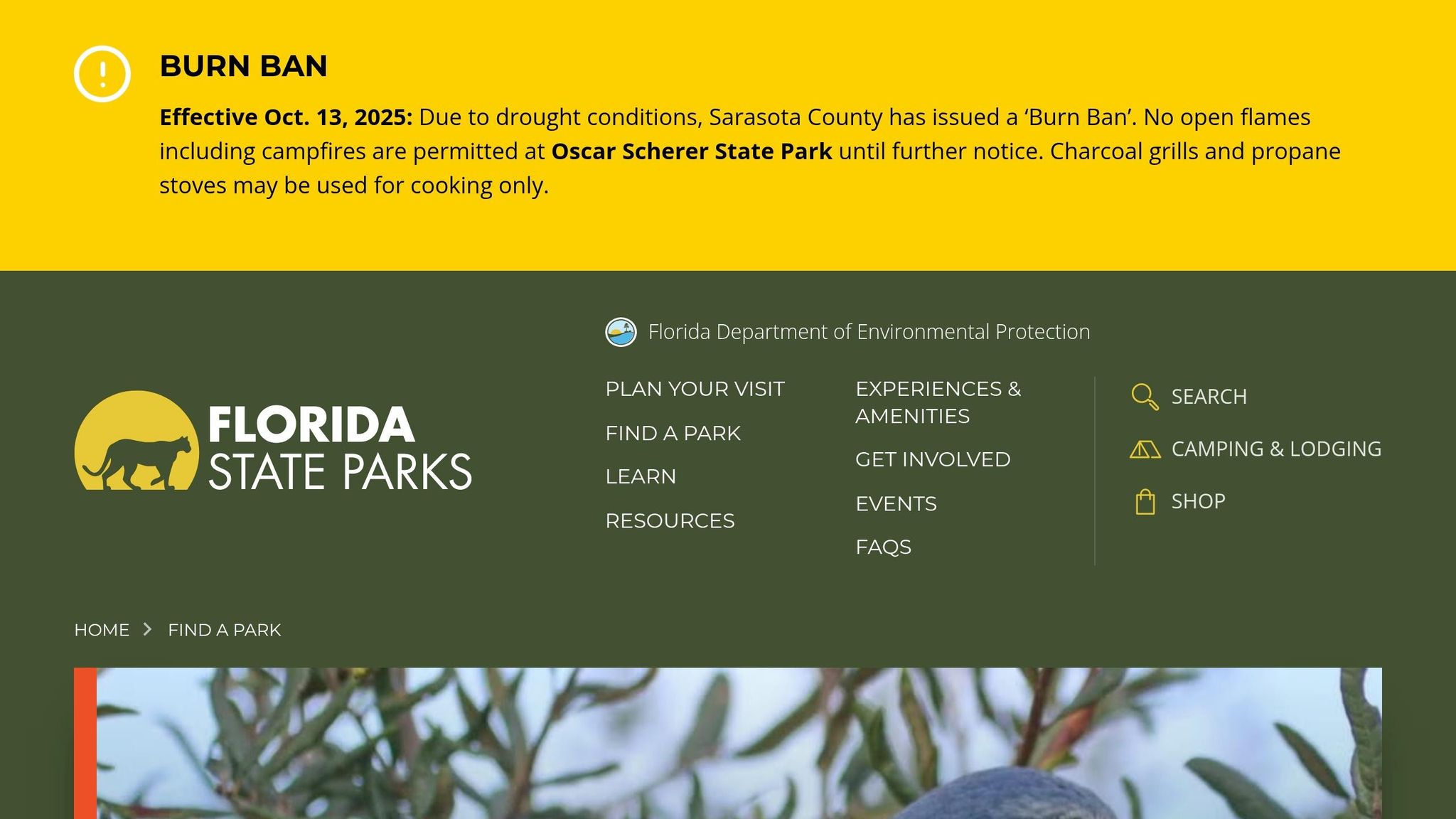 Oscar Scherer State Park