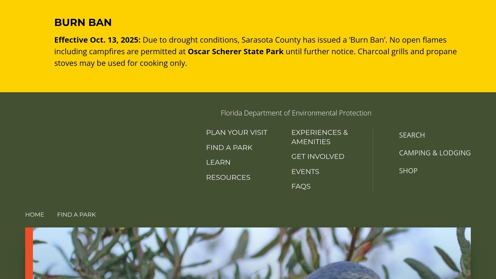 Oscar Scherer State Park