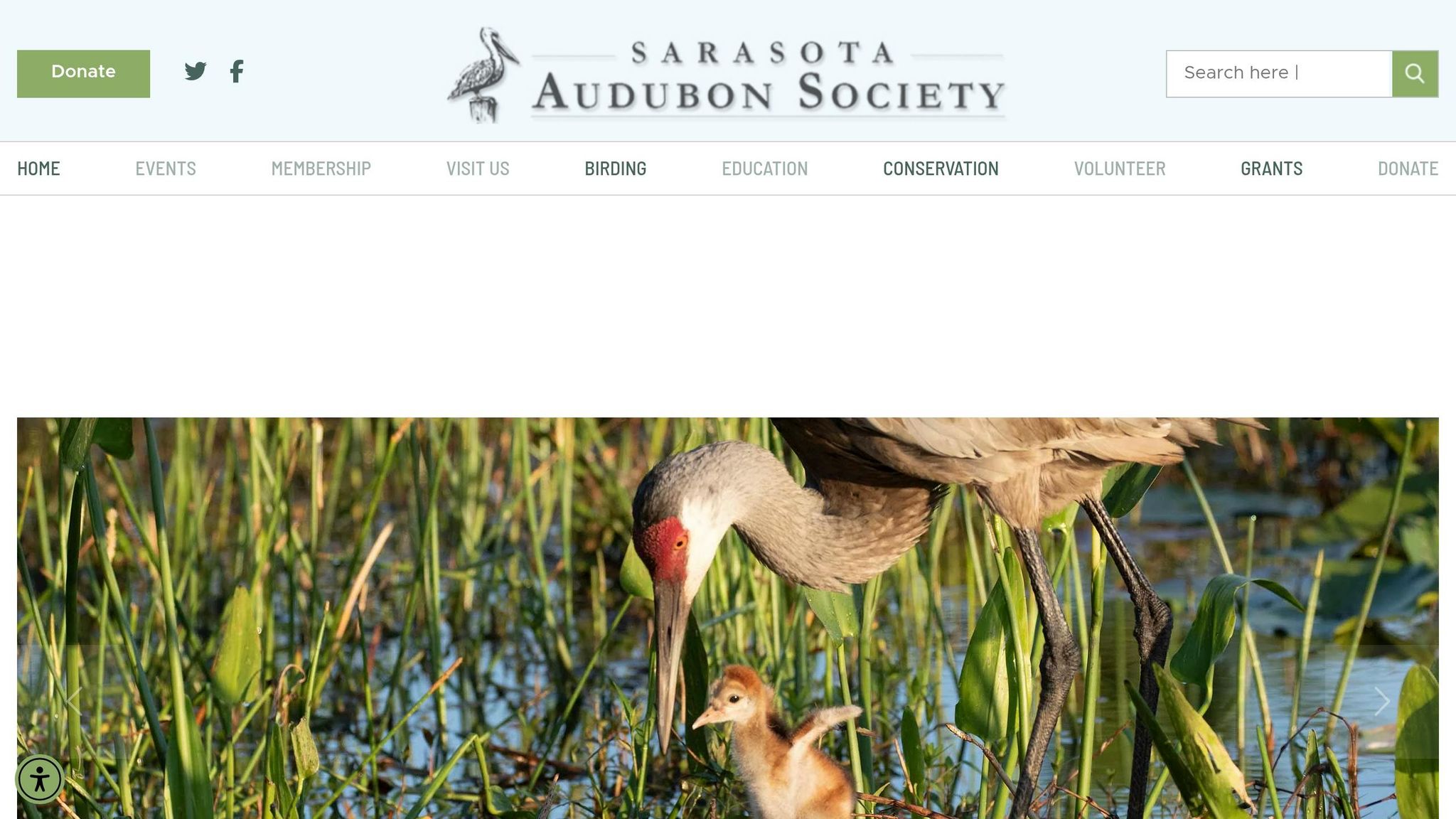 Sarasota Audubon