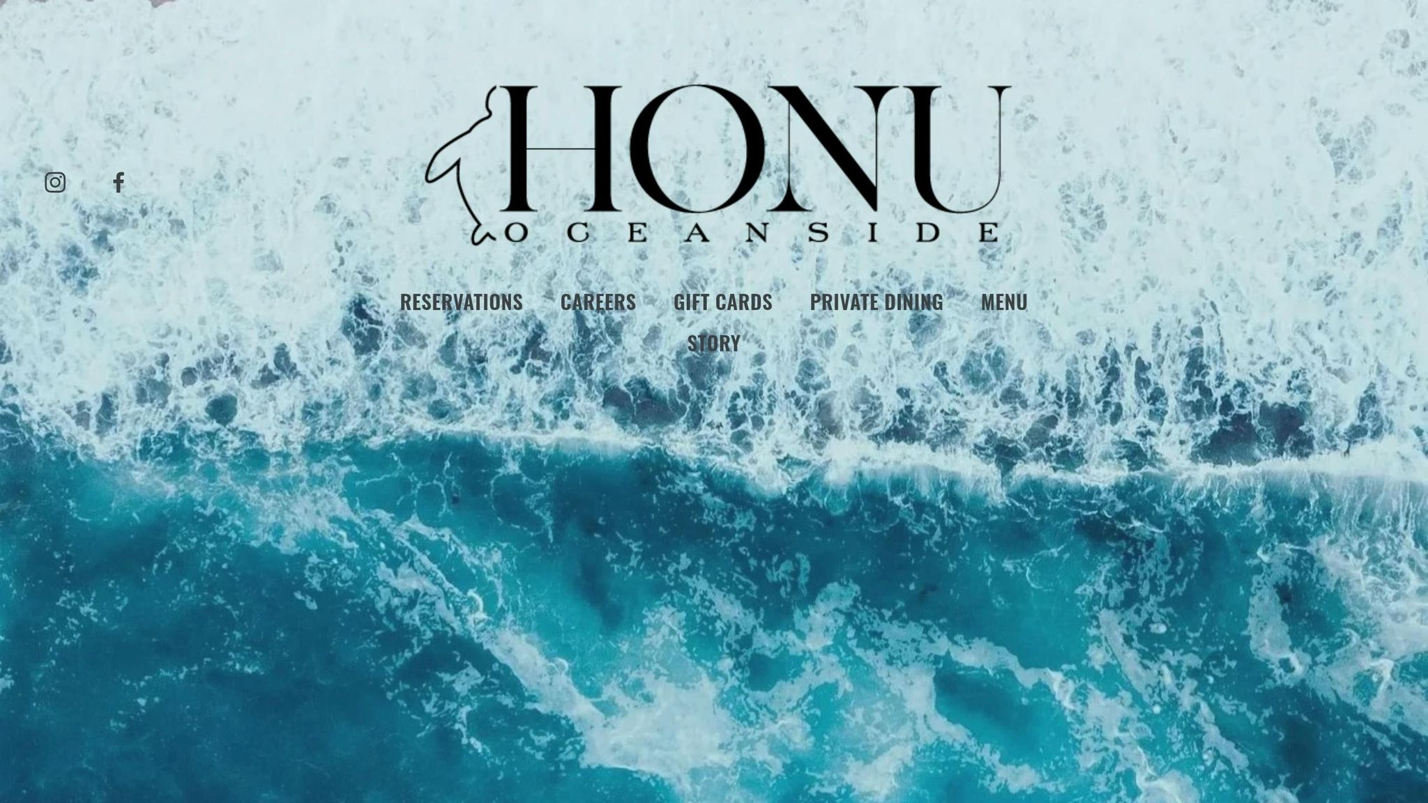 Honu Oceanside