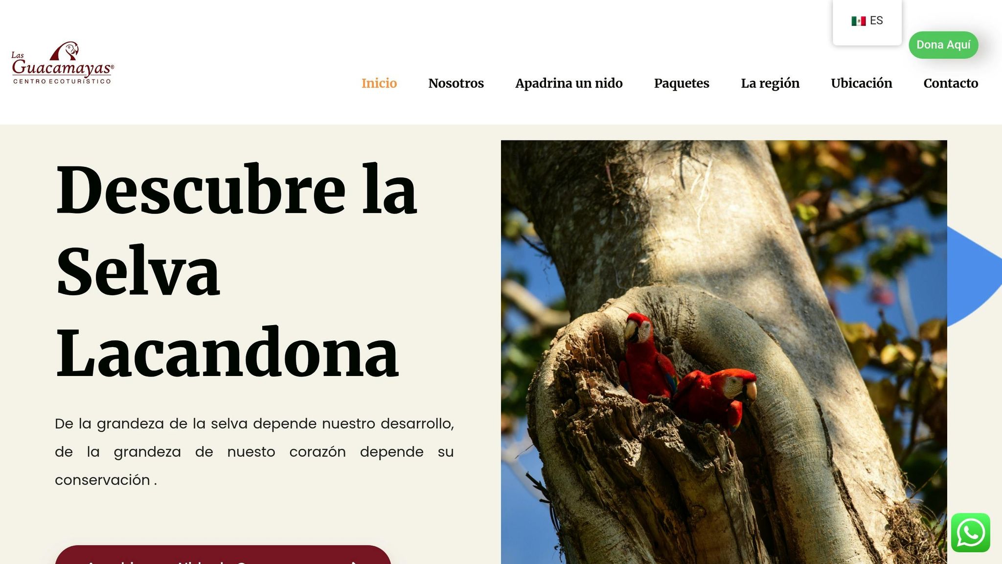Las Guacamayas