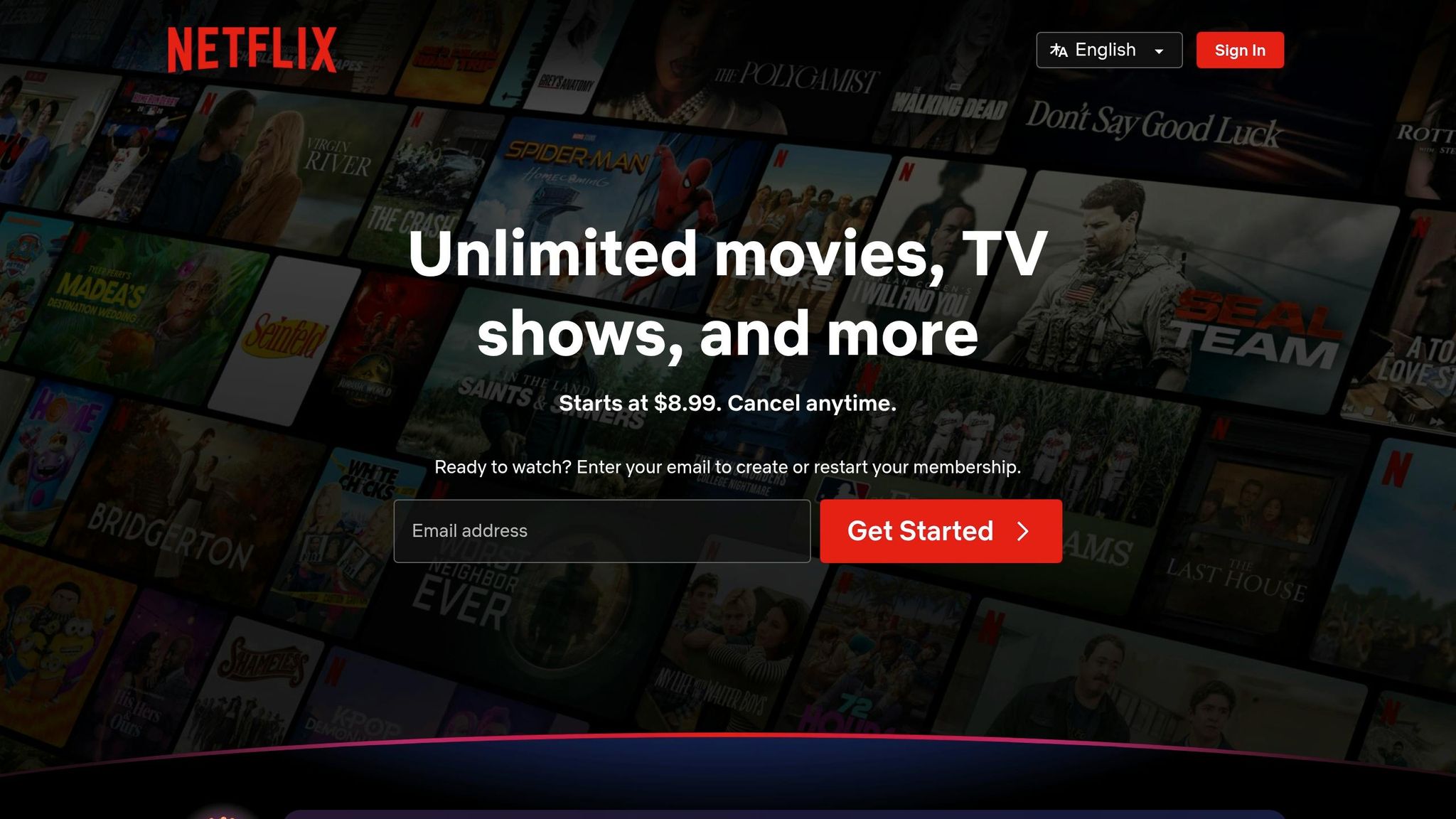 Netflix