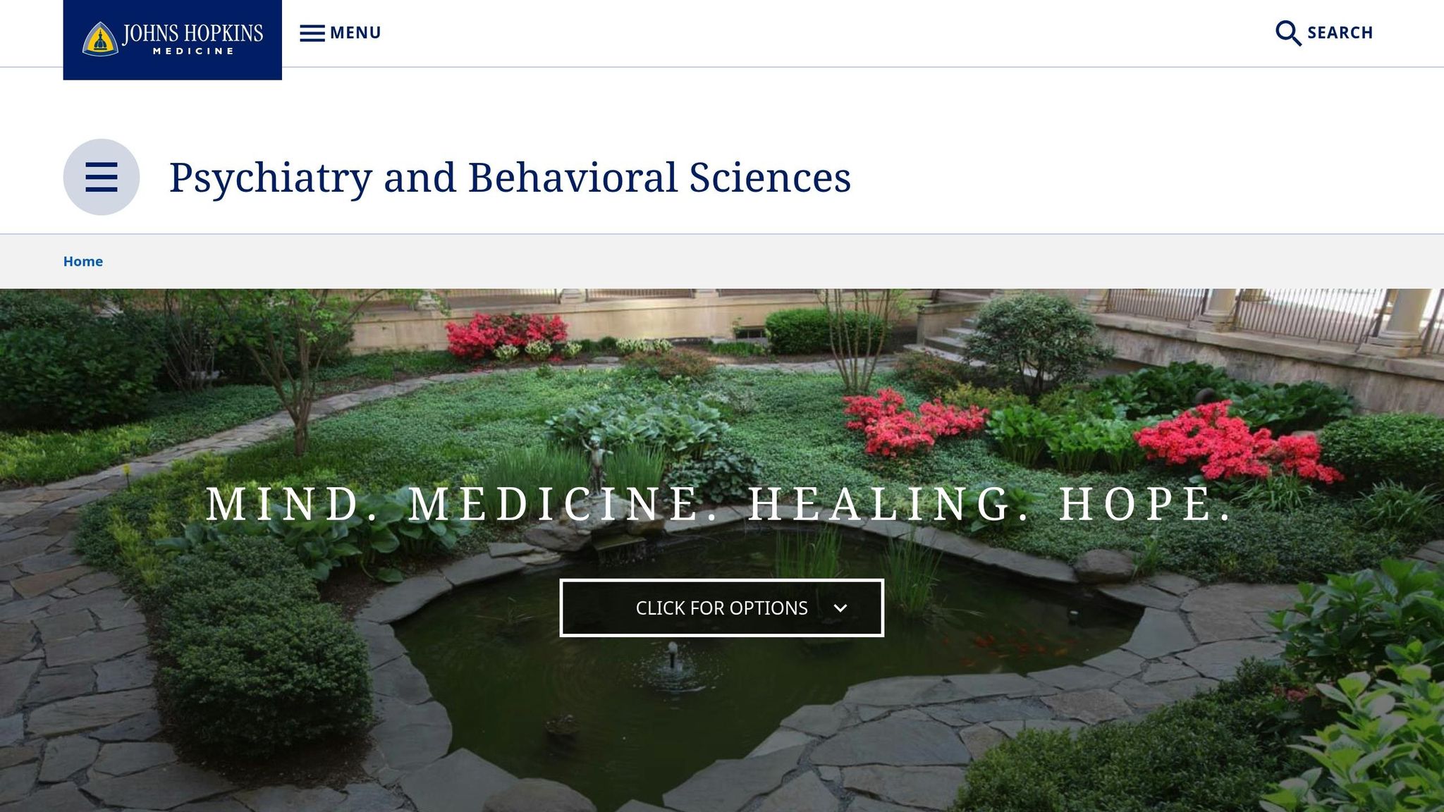 Johns Hopkins Psychiatry