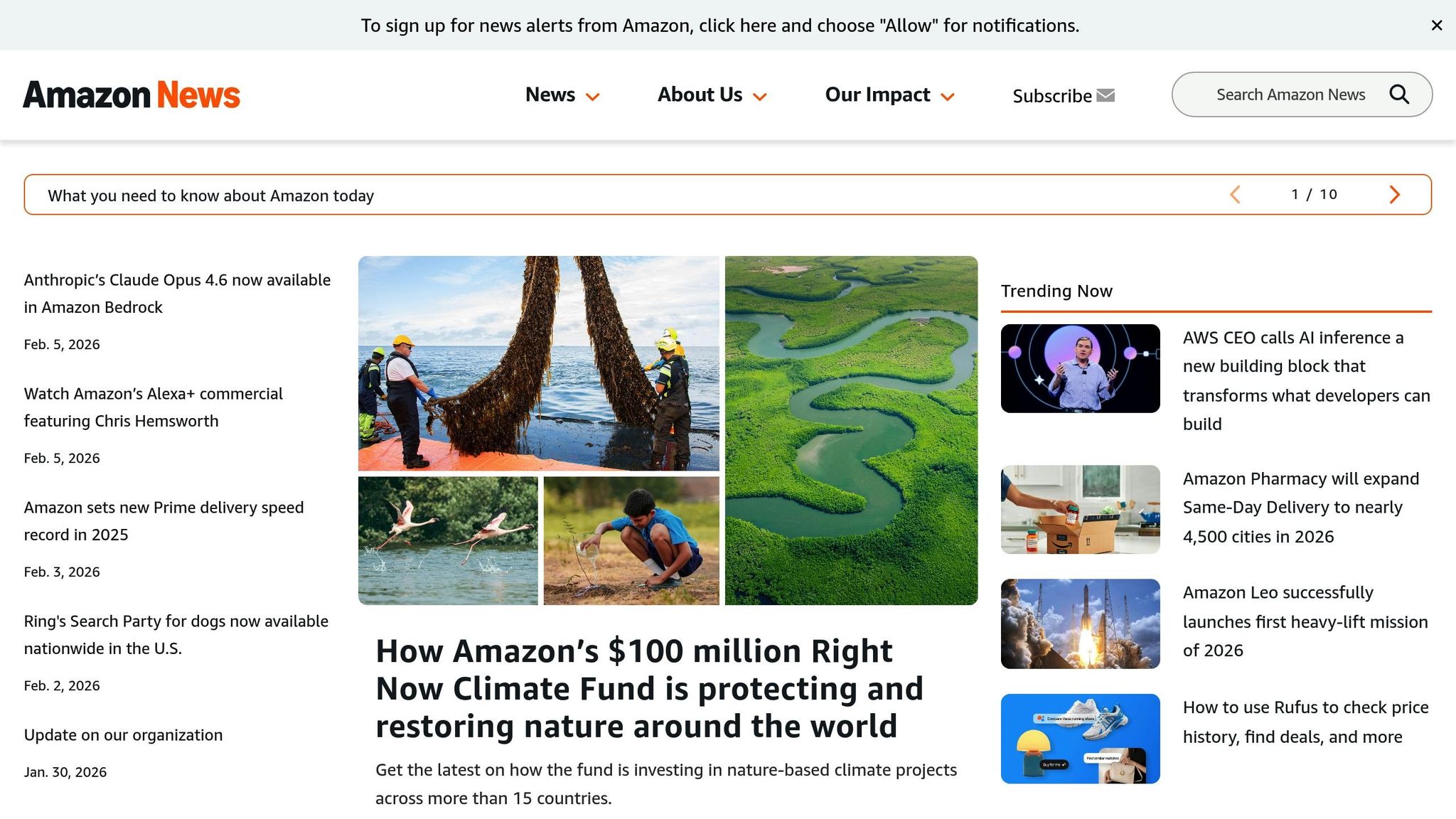 Amazon