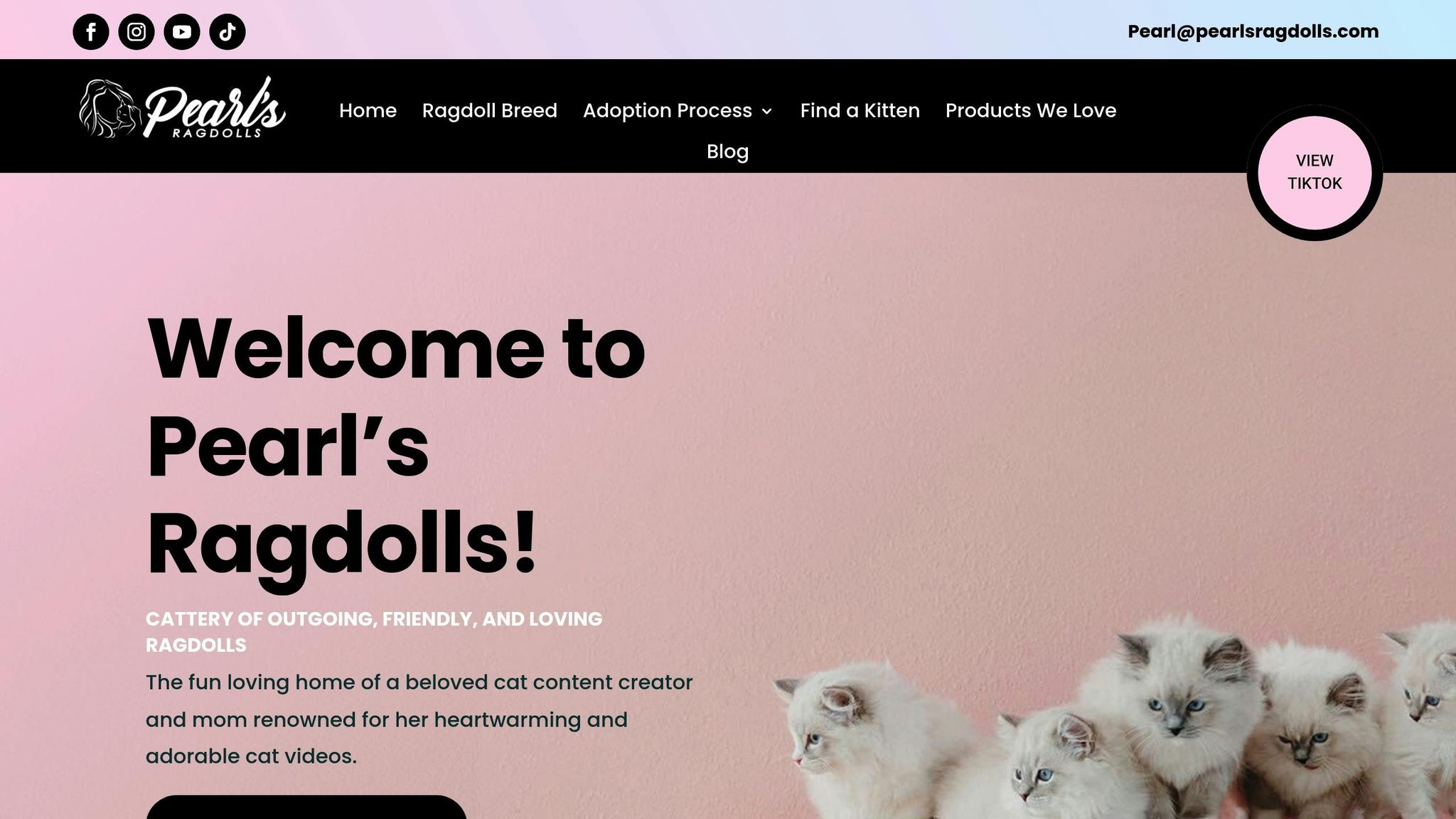 Pearl's Ragdolls