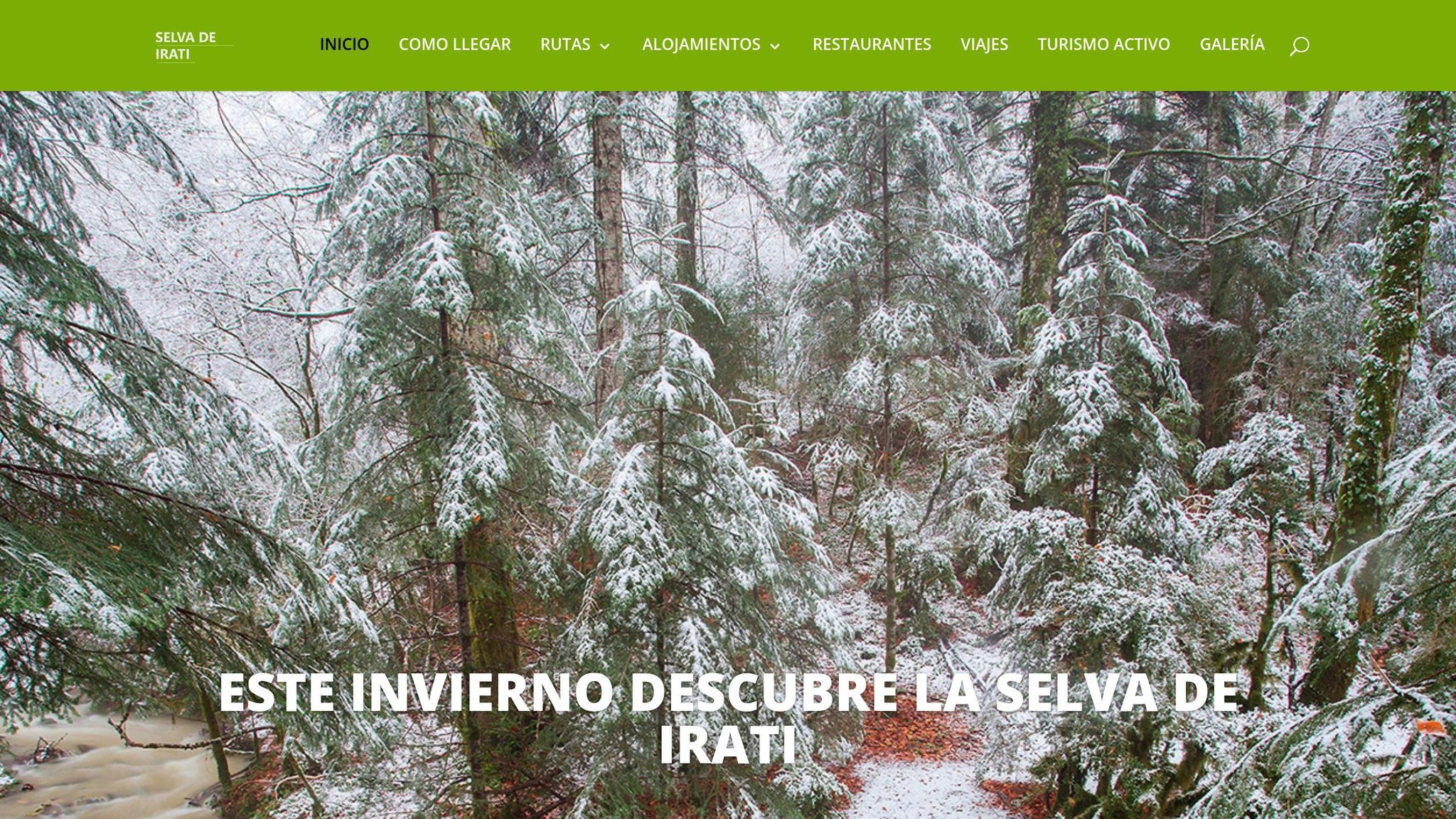 Selva de Irati