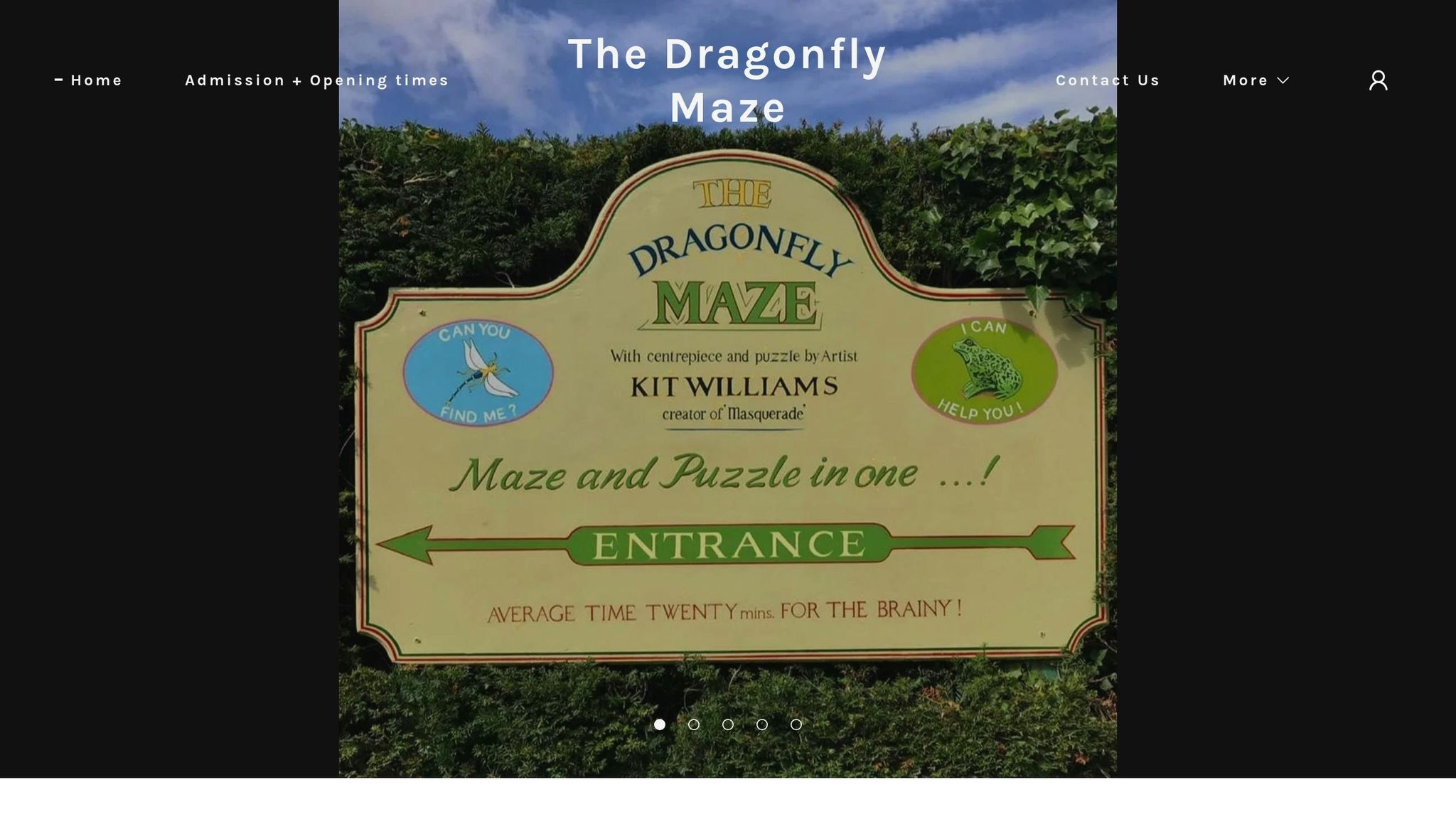 Dragonfly Maze