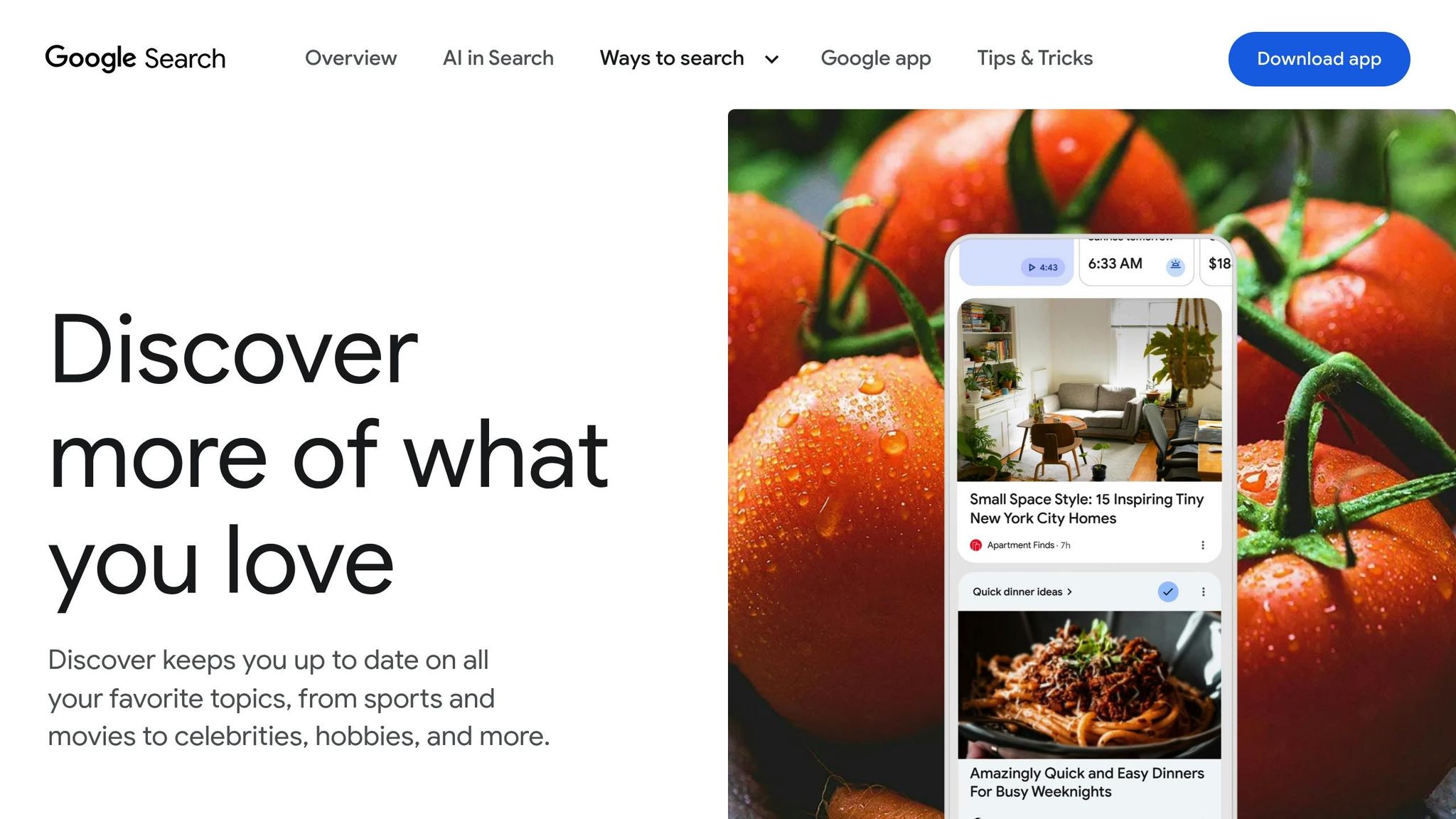 Importanti impatti del nuovo aggiornamento principale di google 1 Google discover