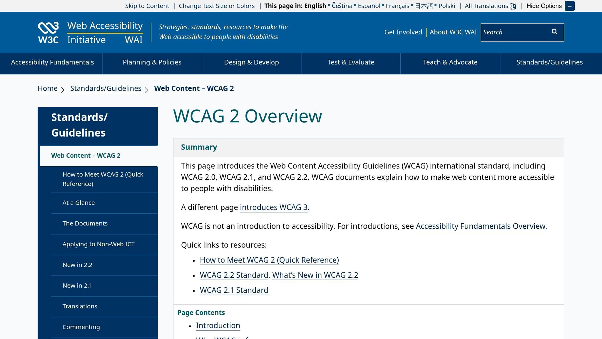 Strumenti per testare accessibilità media e-commerce 3 Wcag