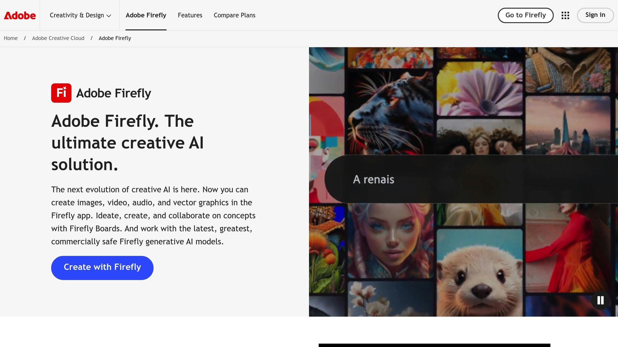 Adobe Firefly