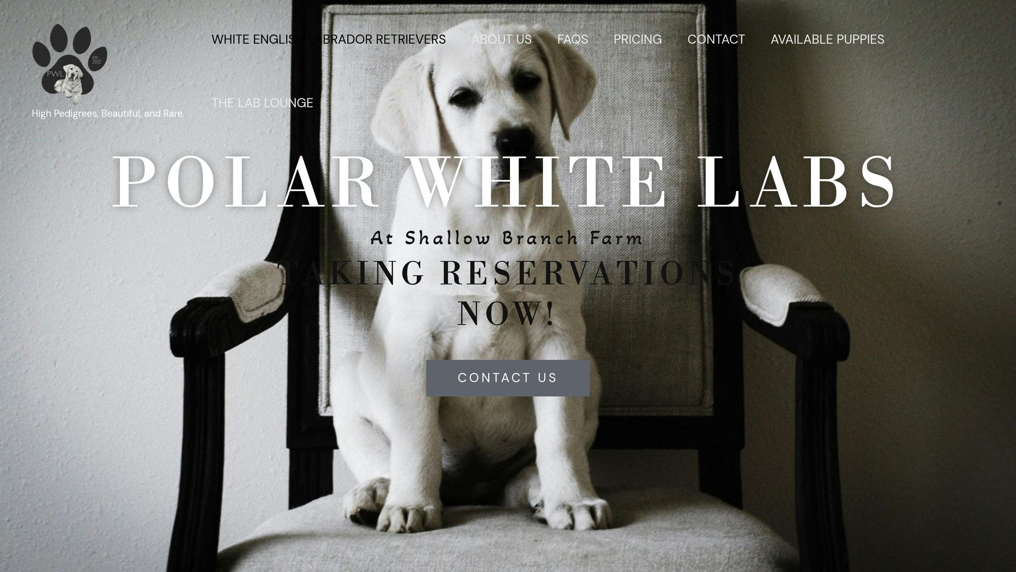 Polar White Labs at Shallow Branch Farm