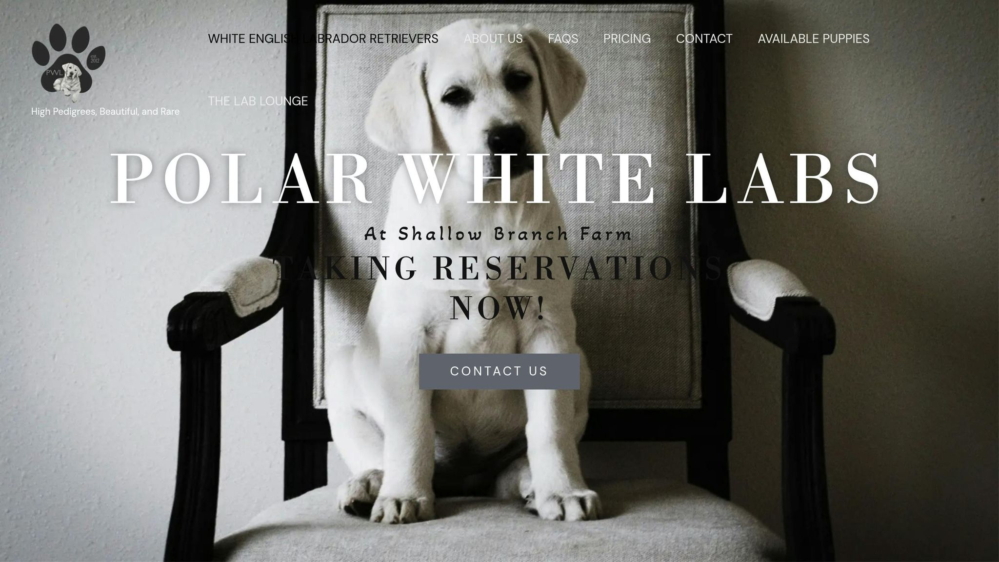 Polar White Labs