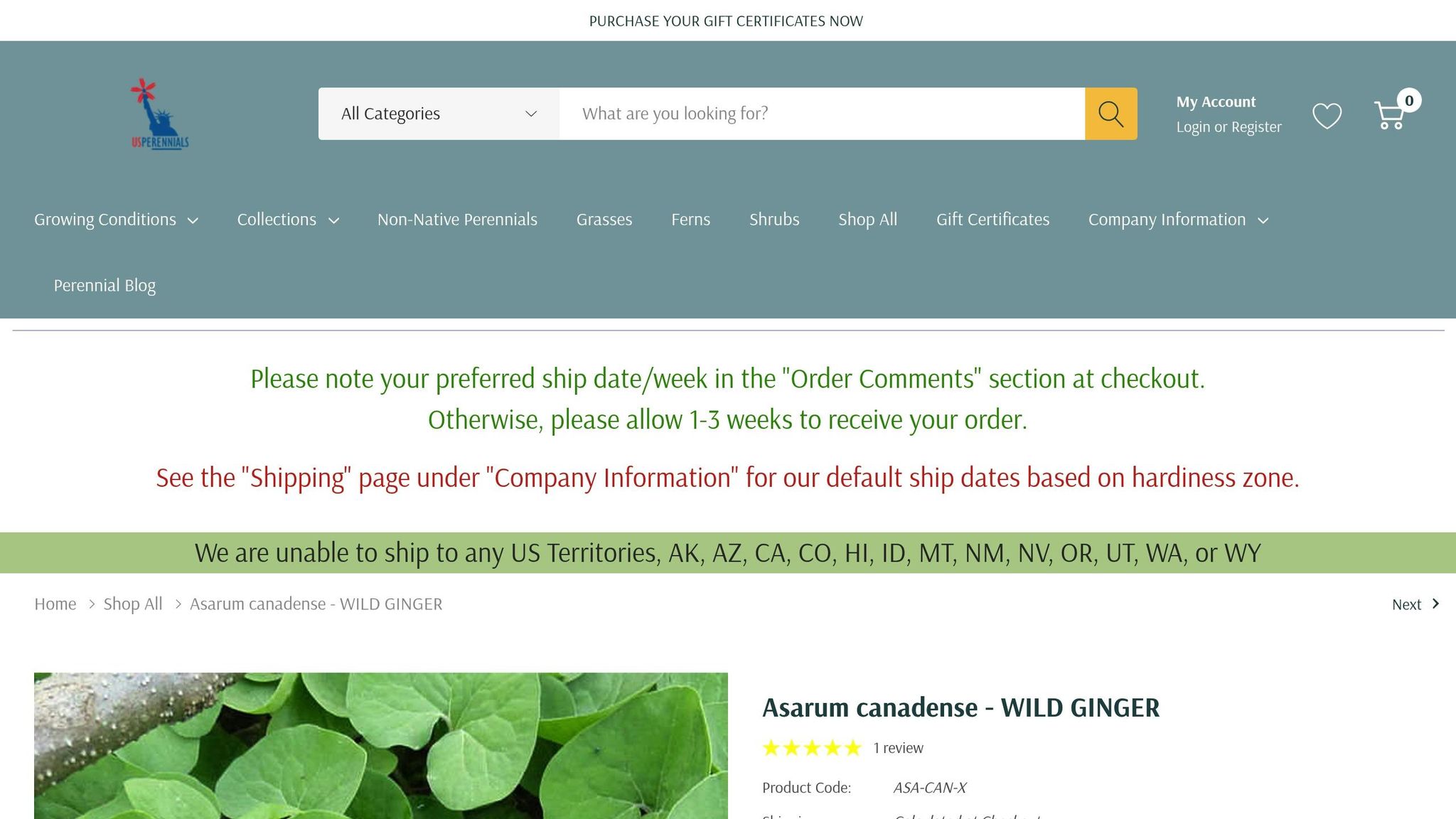 Asarum canadense