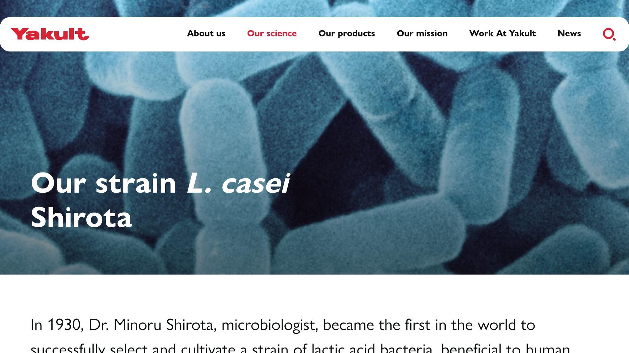 Lactobacillus casei Shirota