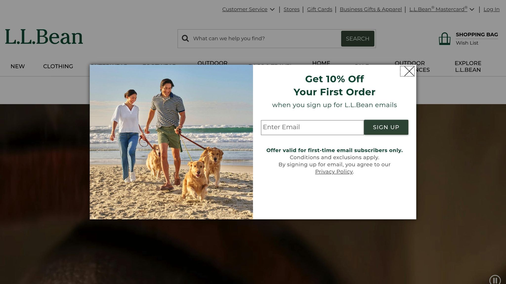 LL Bean