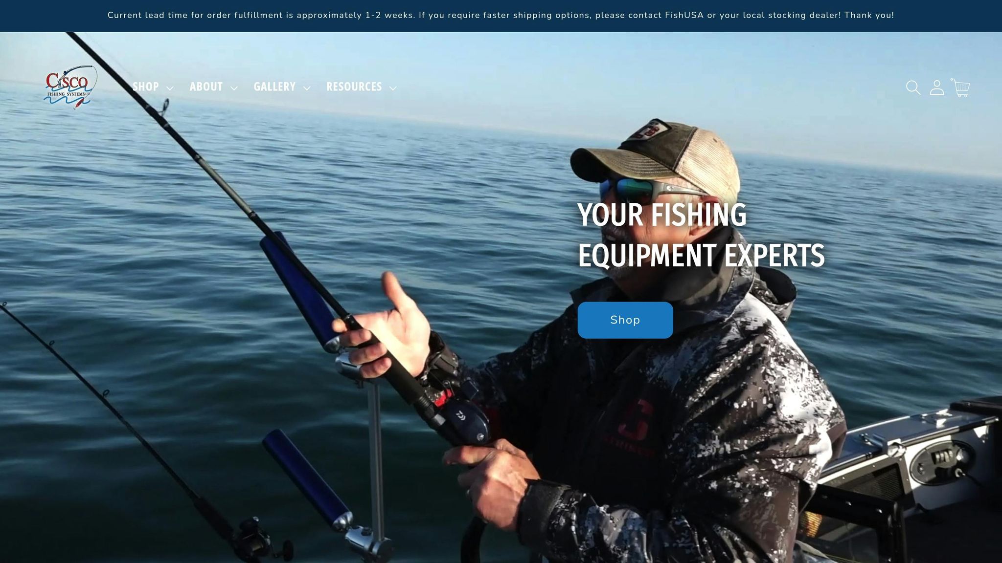 Cisco Fishing Systems