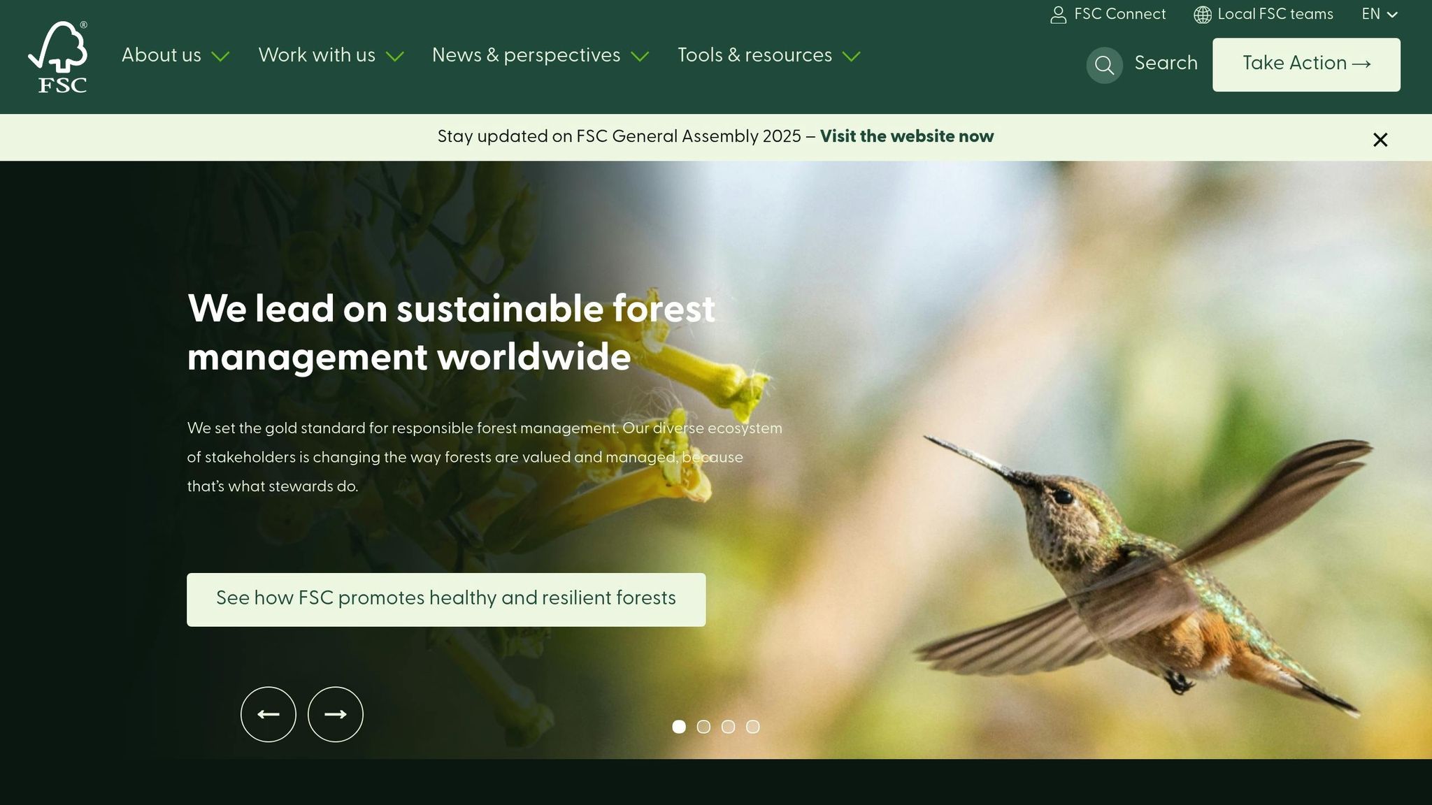 Forest Stewardship Council