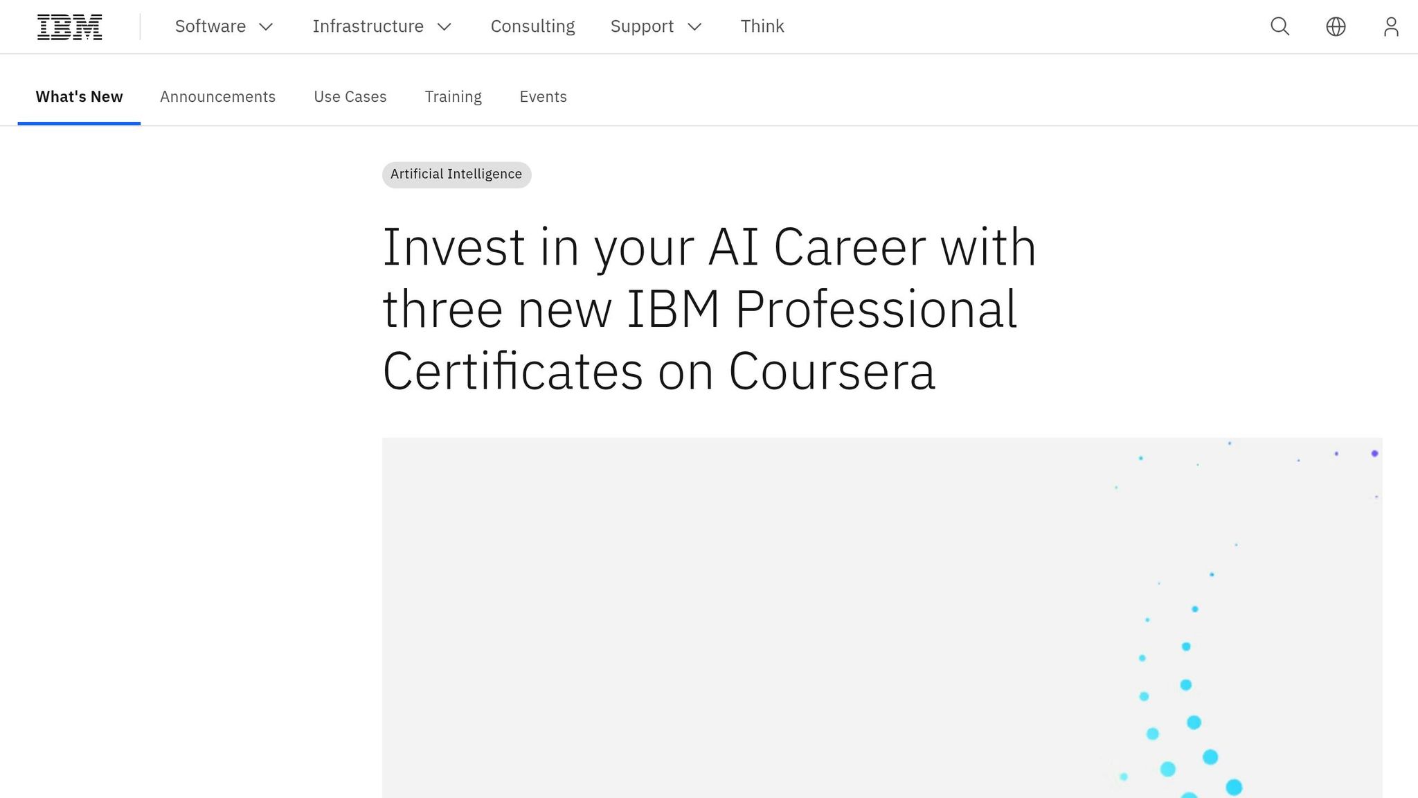 IBM Generative AI Engineering Professional Certificate