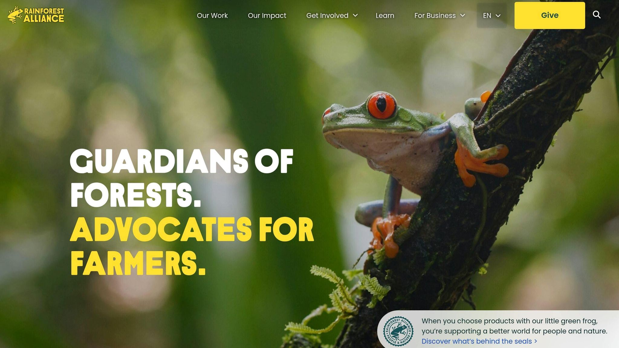 Rainforest Alliance