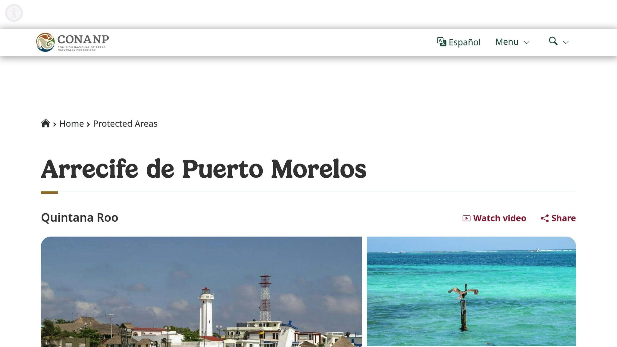 Puerto Morelos