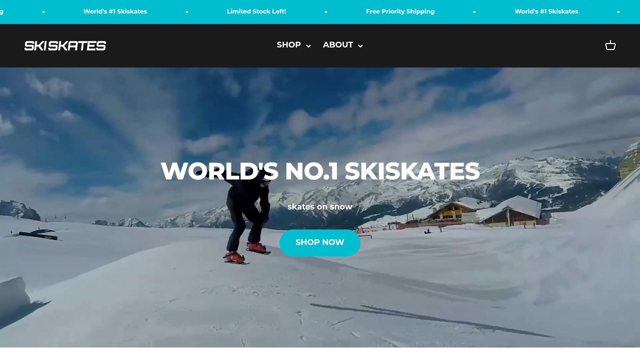 Skiskates