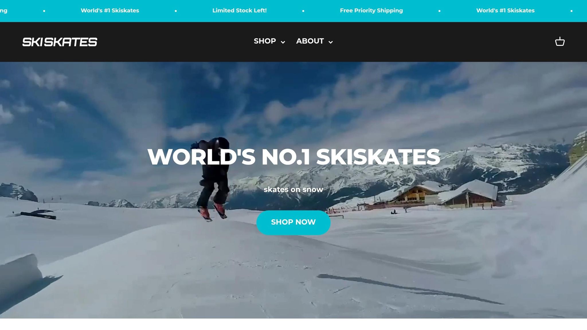 Skiskates