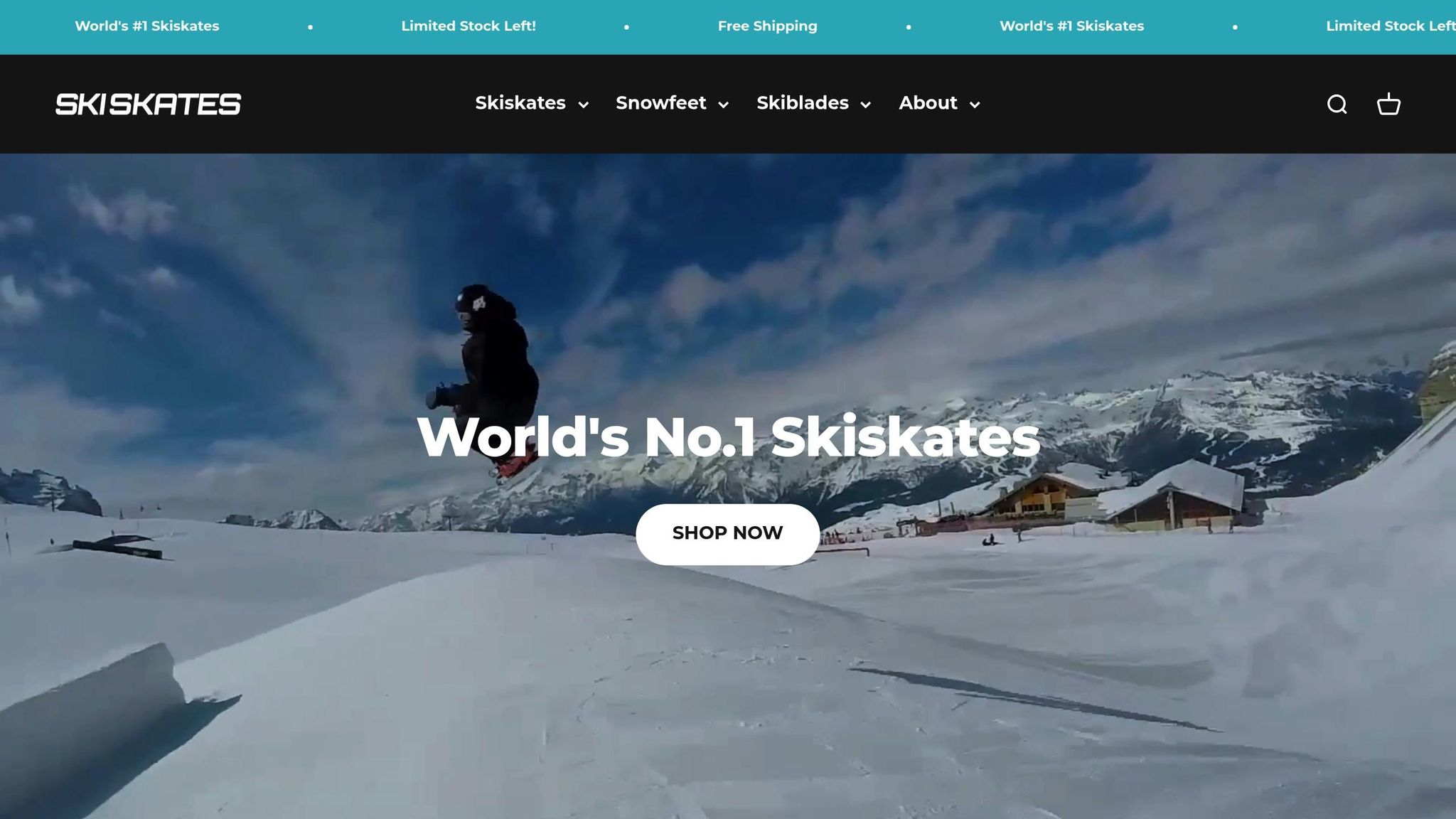 Skiskates