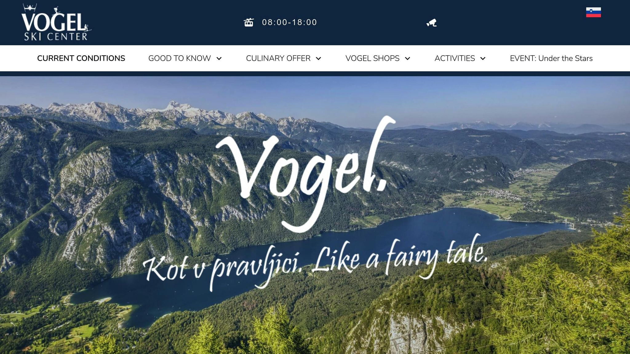 Vogel