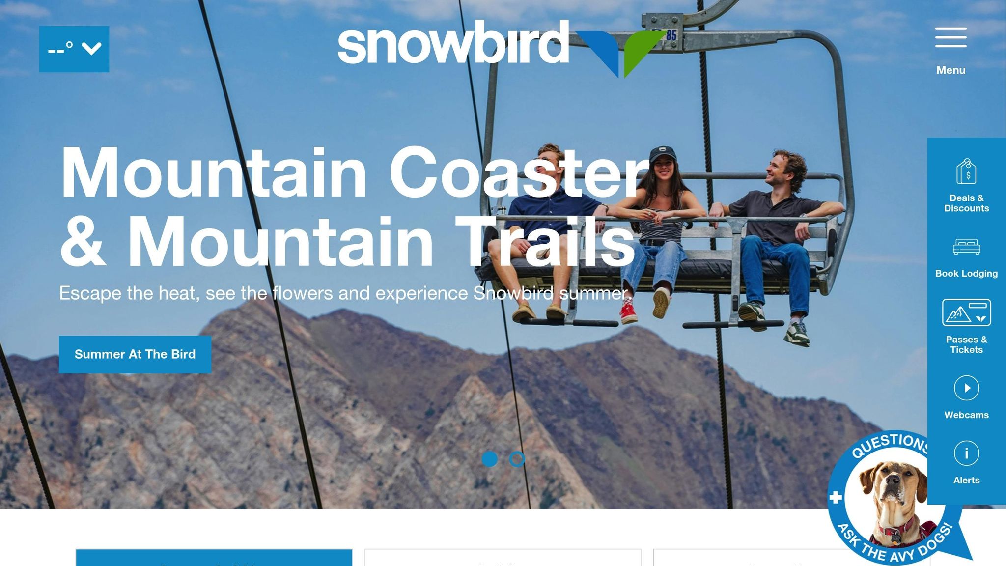 Snowbird
